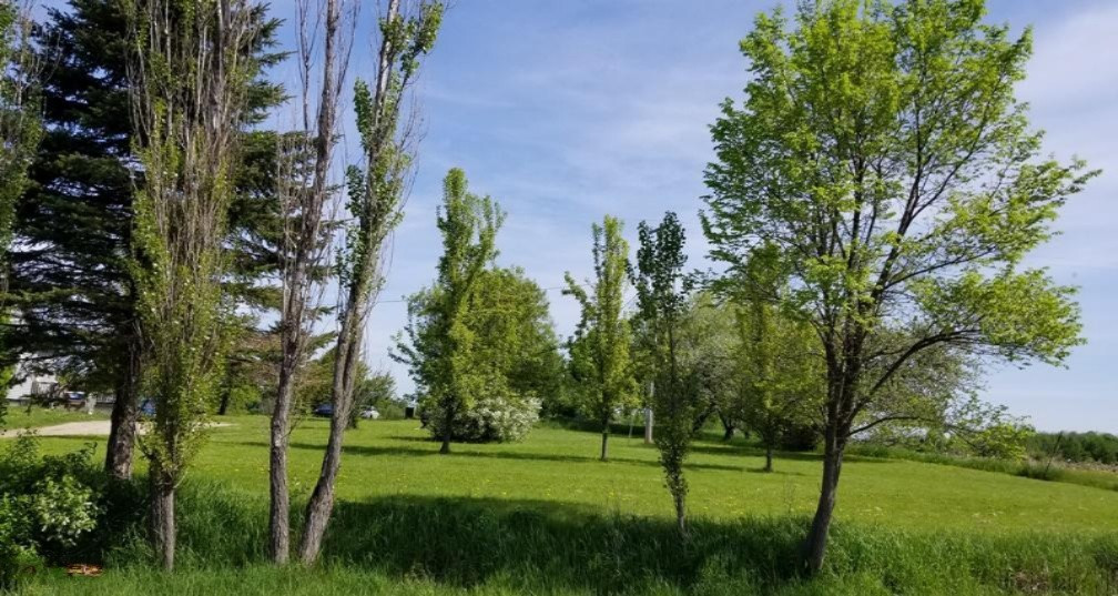 20664 2 Mile Road Reed City, MI 49677 - Photo 5 of 16 #4