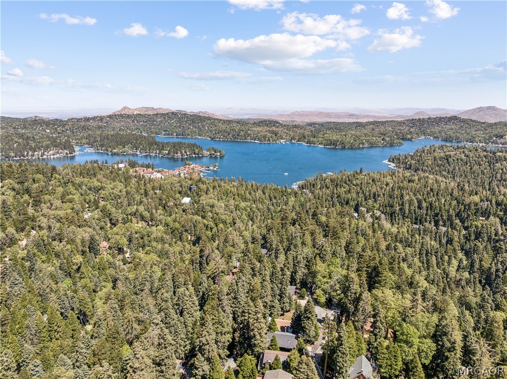 590 Arrowhead Villa Road Lake Arrowhead, CA 92352 - Photo 41 of 43