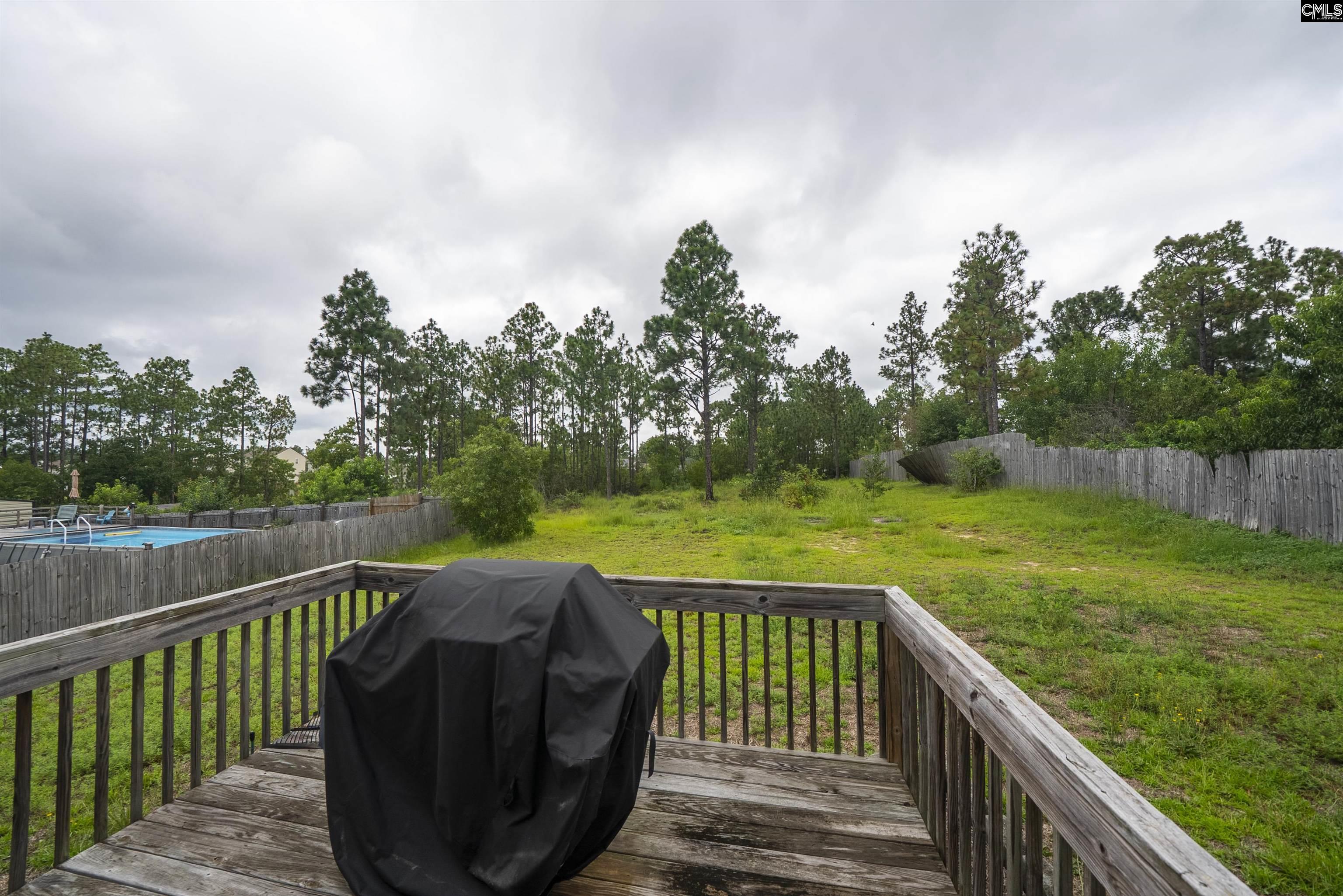 110 Cranbrook Court Gaston, SC 29053 - Photo 25 of 36