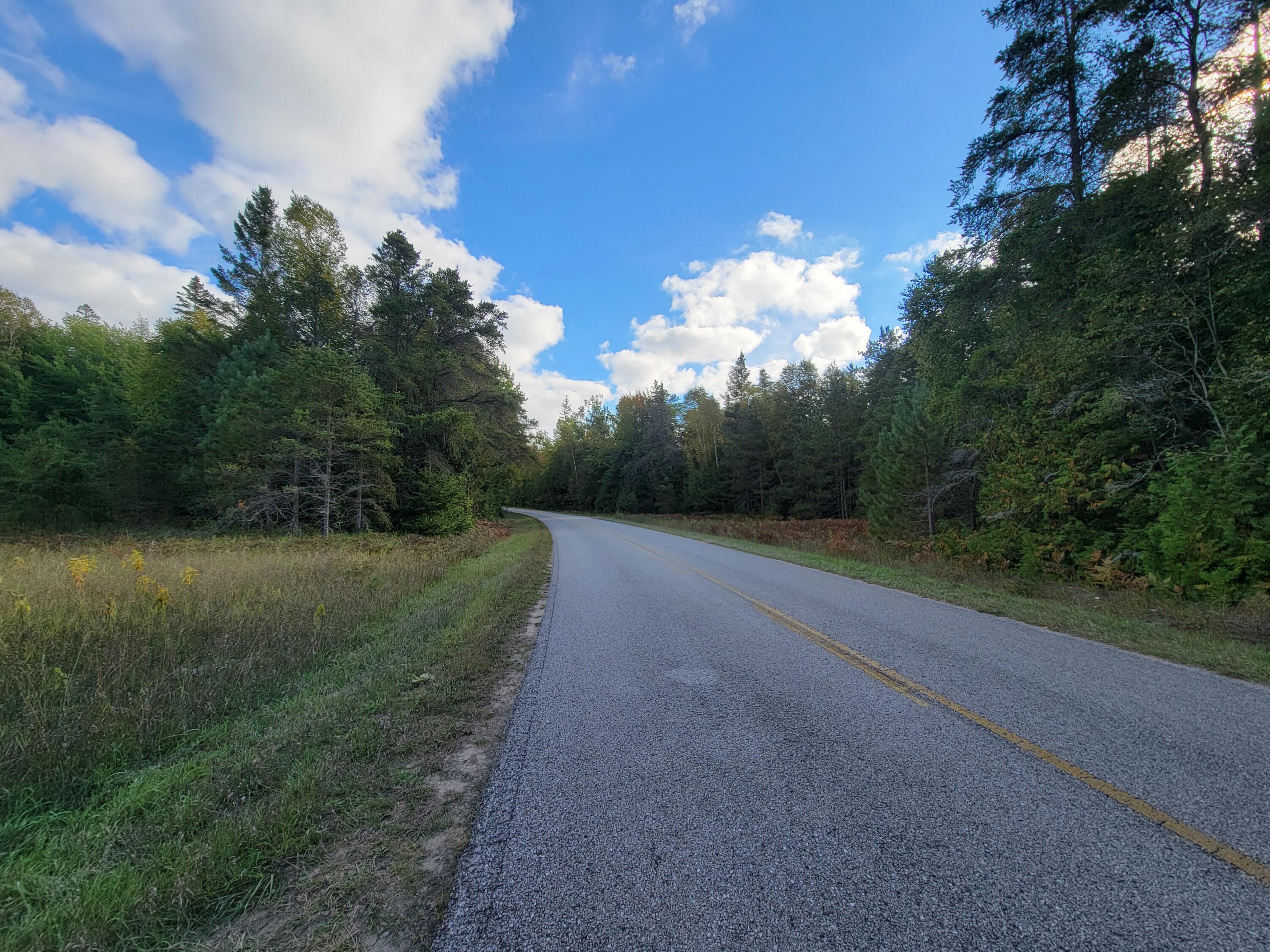 Lot 1 Brevort Camp Road Moran, MI 49760 - Photo 22 of 66 Gallery Image 22