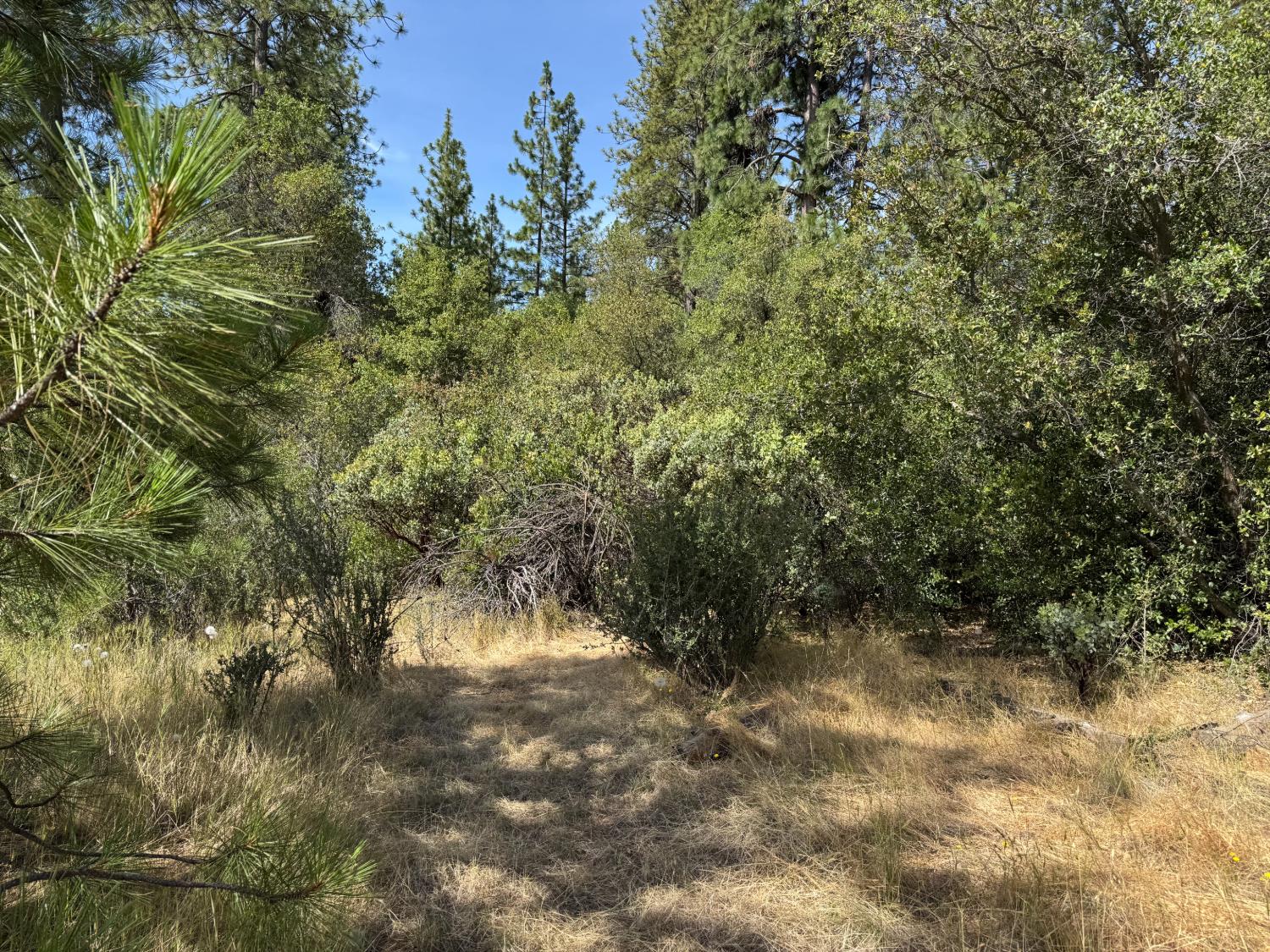 0 French Gulch Road Murphys, CA 95247 - Photo 15 of 19