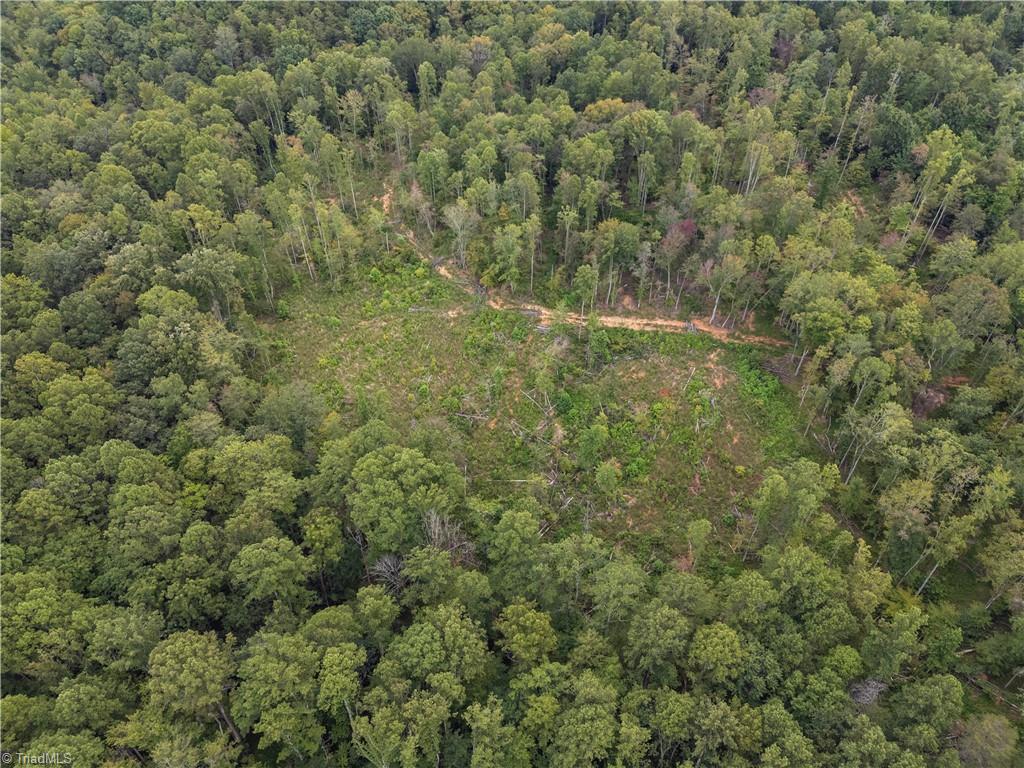 -lot Joyce Woodworks Road Sandy Ridge, NC 27046 - Photo 40 of 40 Gallery Image 40