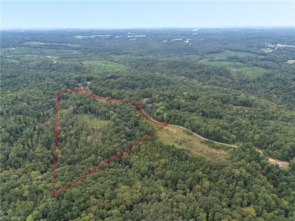 -lot Joyce Woodworks Road Sandy Ridge, NC 27046 - Photo 4 of 40 Gallery Image 4