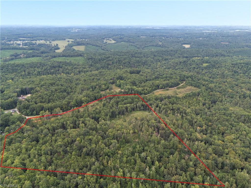 -lot Joyce Woodworks Road Sandy Ridge, NC 27046 - Photo 5 of 40 Gallery Image 5
