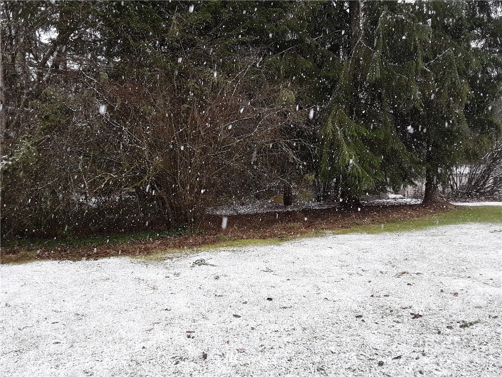 15922 Agate Street Southeast Yelm, WA 98597 - Photo 4 of 20