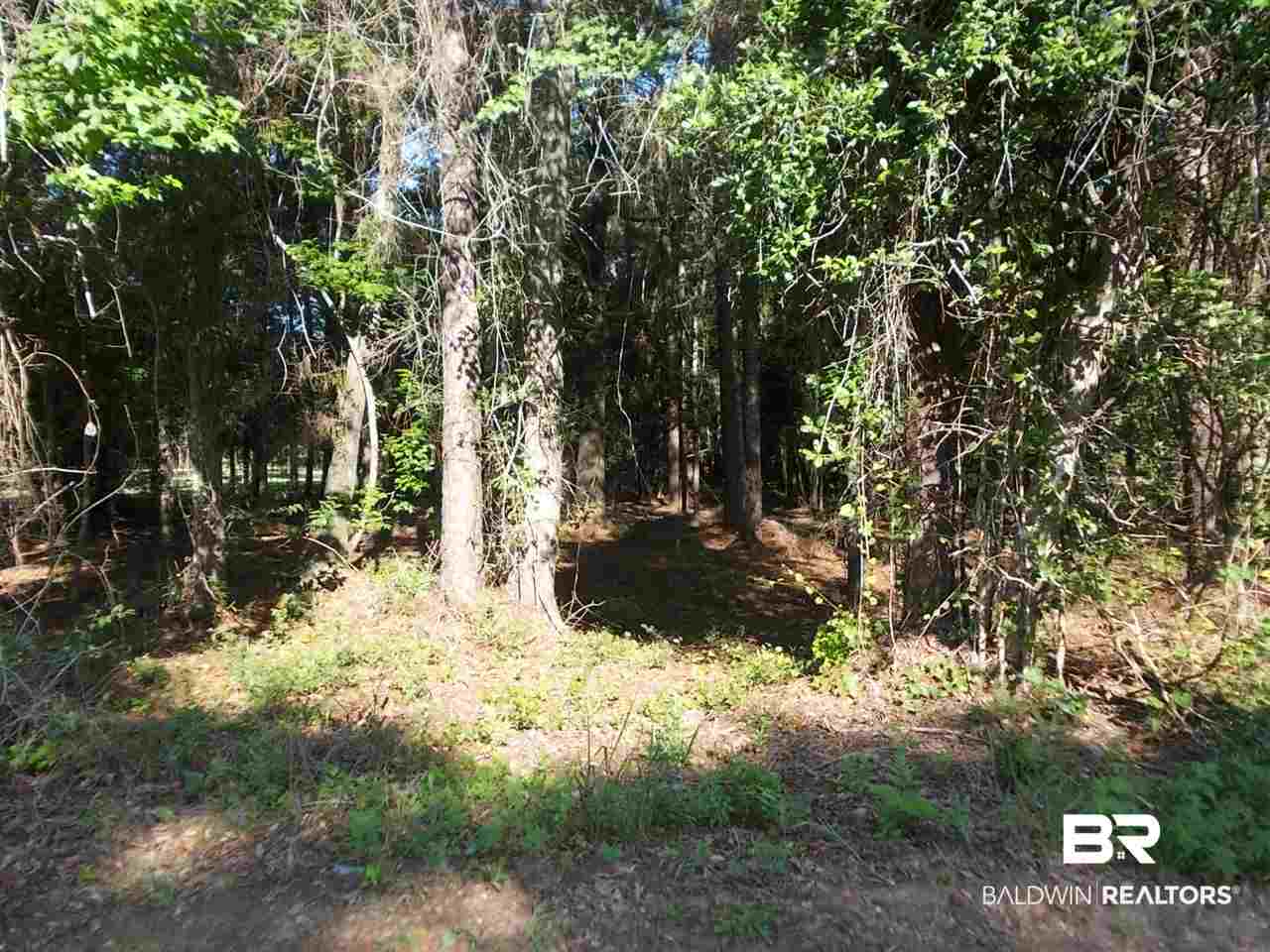 0 Ernest Patterson Road Robertsdale, AL 36567 - Photo 4 of 14