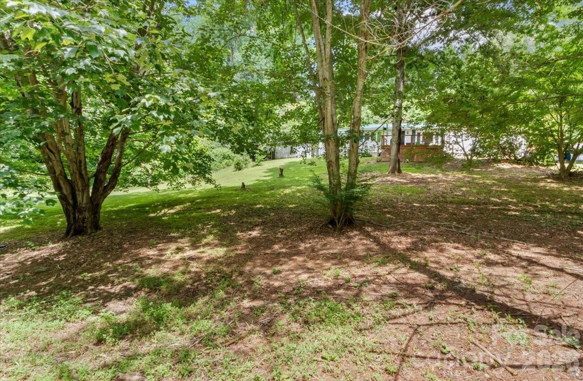 2 Ray Road Weaverville, NC 28787 - Photo 40 of 46