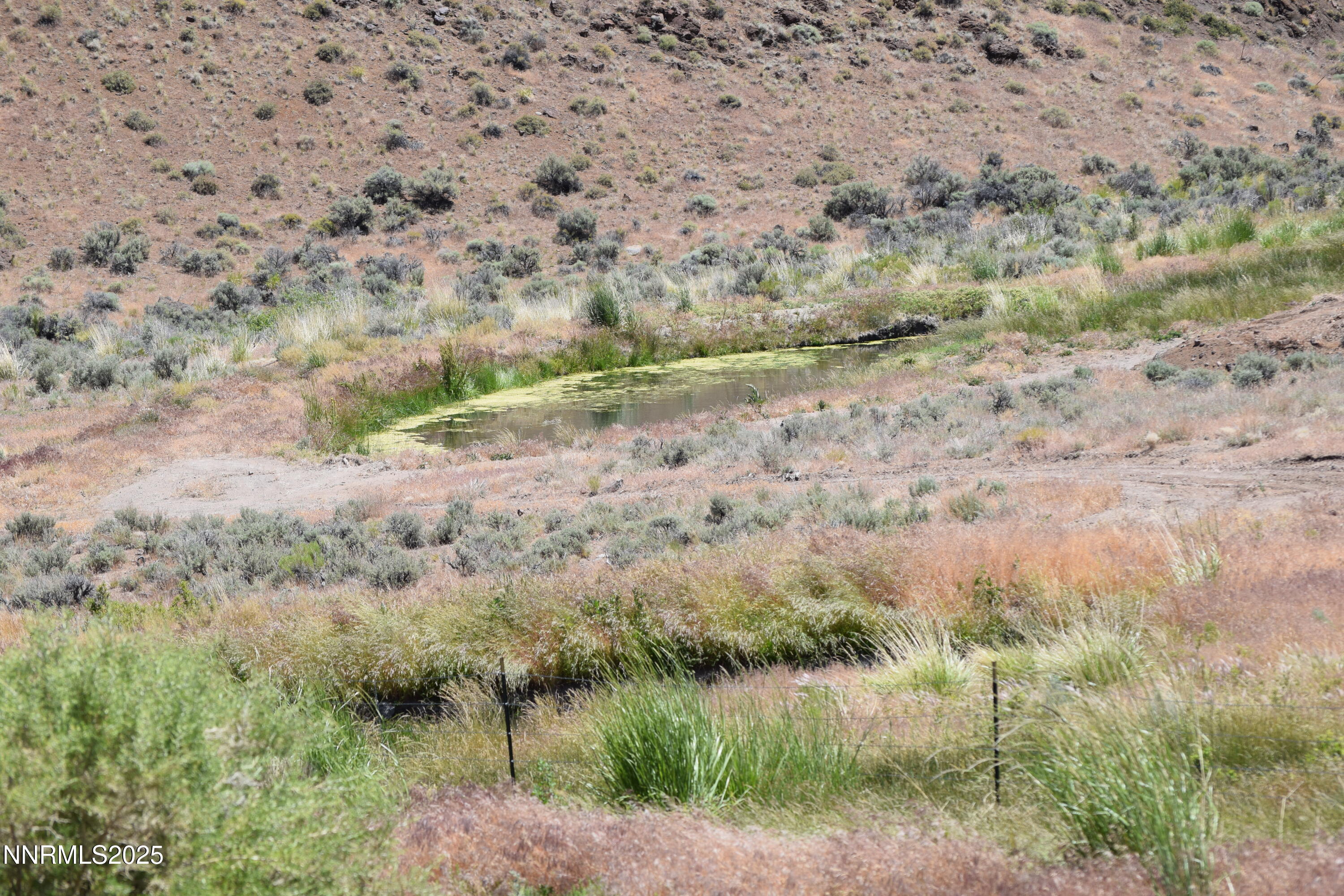 3305 High Rock Road Reno, NV 89510 - Photo 11 of 36 a view of a dry yard