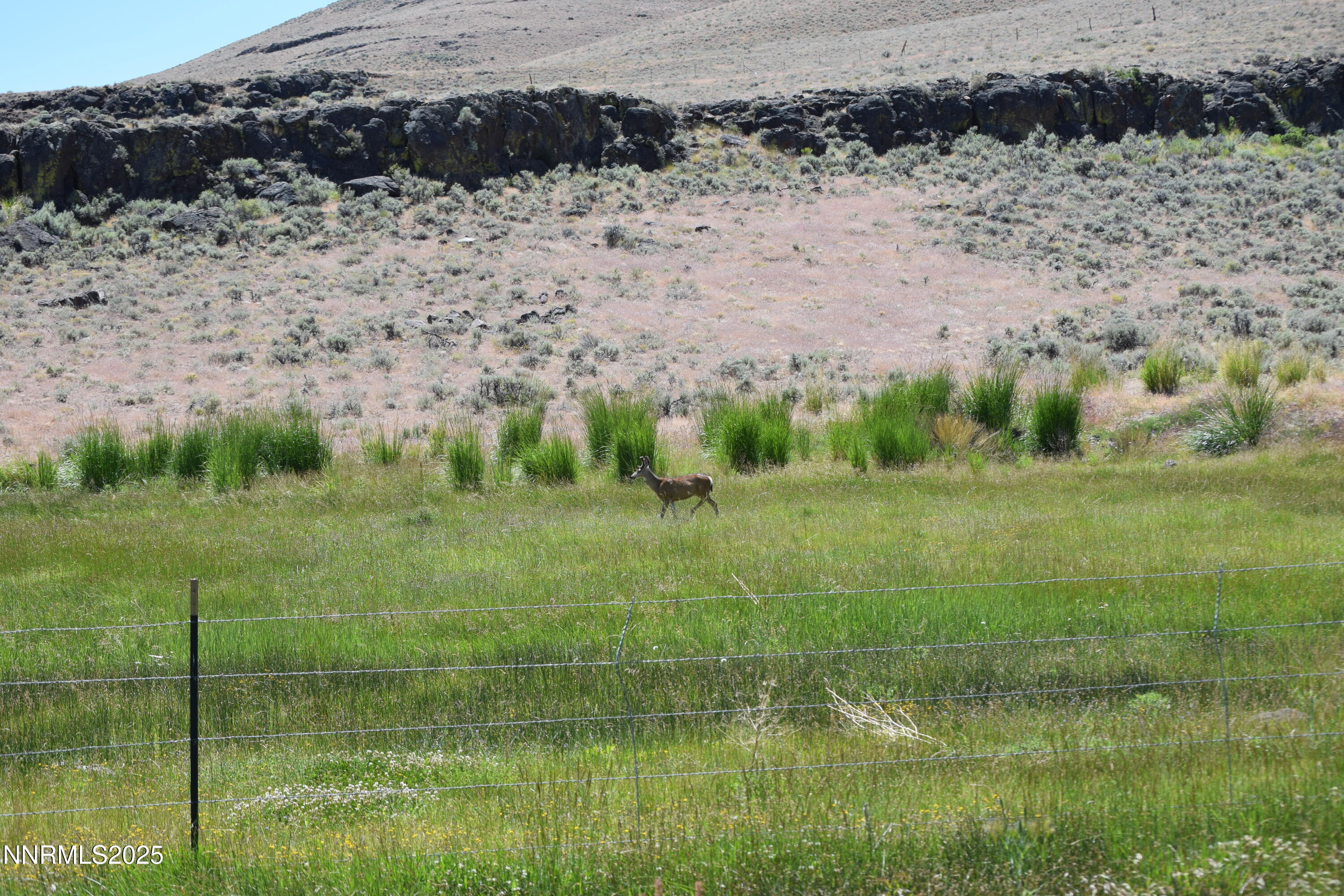 3305 High Rock Road Reno, NV 89510 - Photo 17 of 36 a view of a garden with a lake