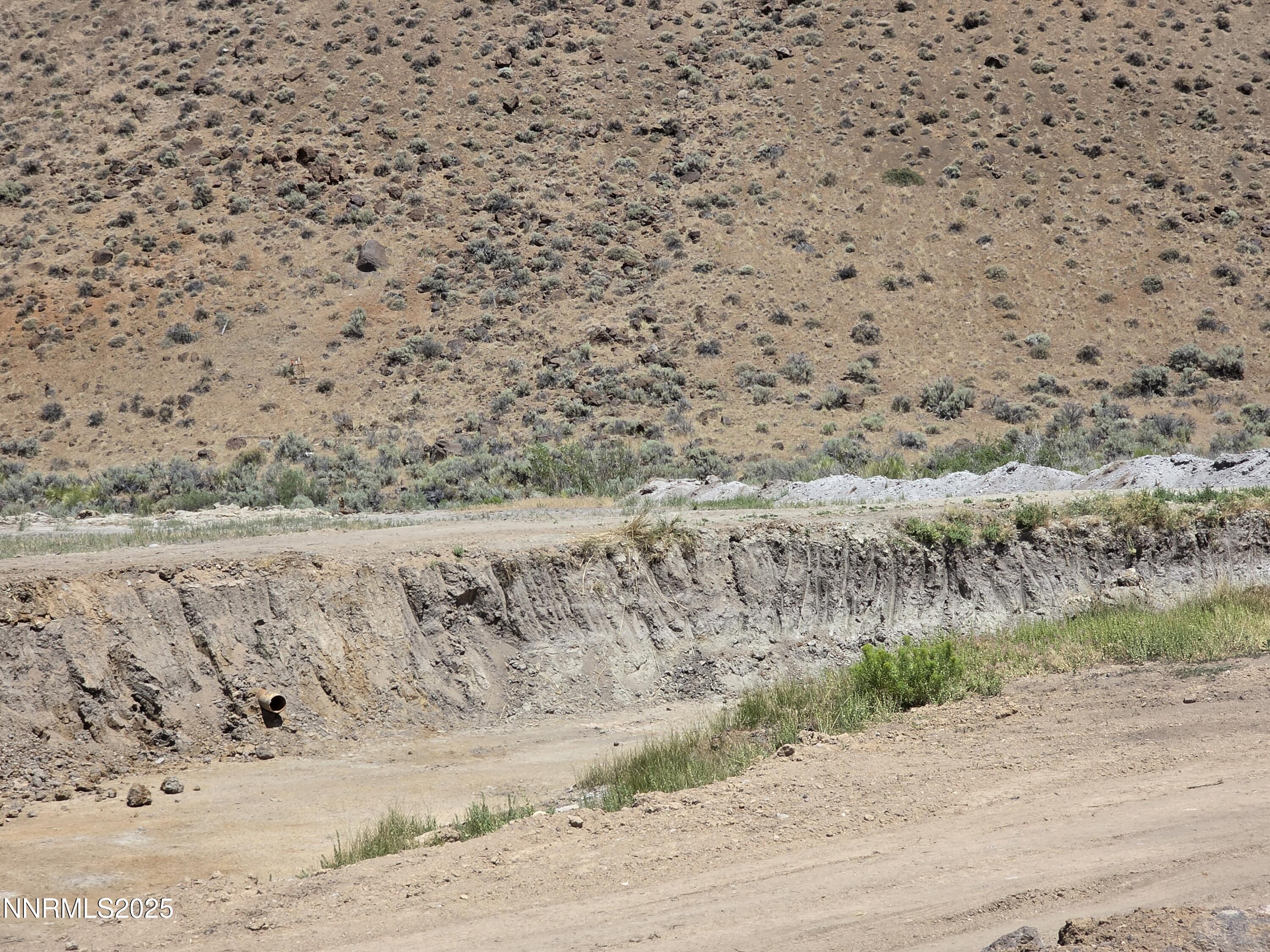 3305 High Rock Road Reno, NV 89510 - Photo 20 of 36 a view of a dry field with trees in the background