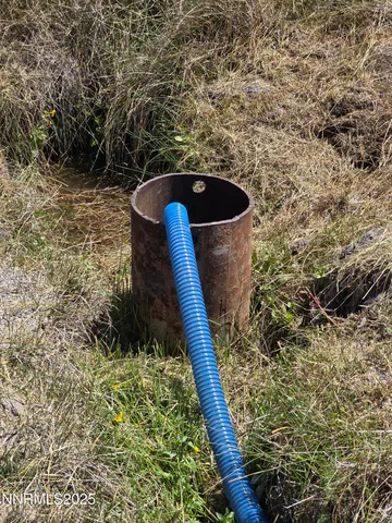 a view of a yard of a house