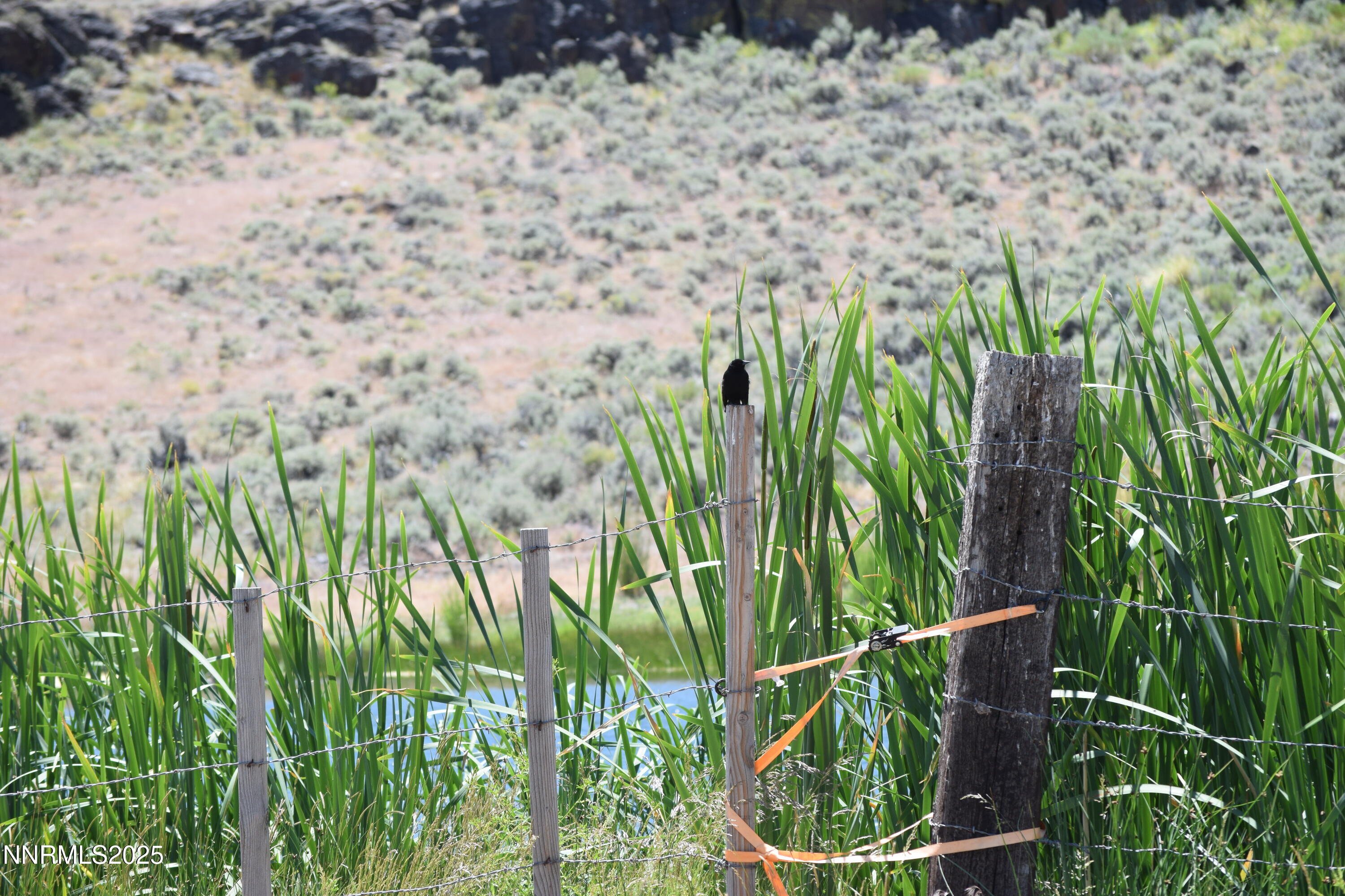 3305 High Rock Road Reno, NV 89510 - Photo 24 of 36 a view of a yard of a house
