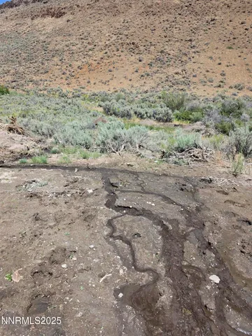 a view of a dry yard with mountains in the background