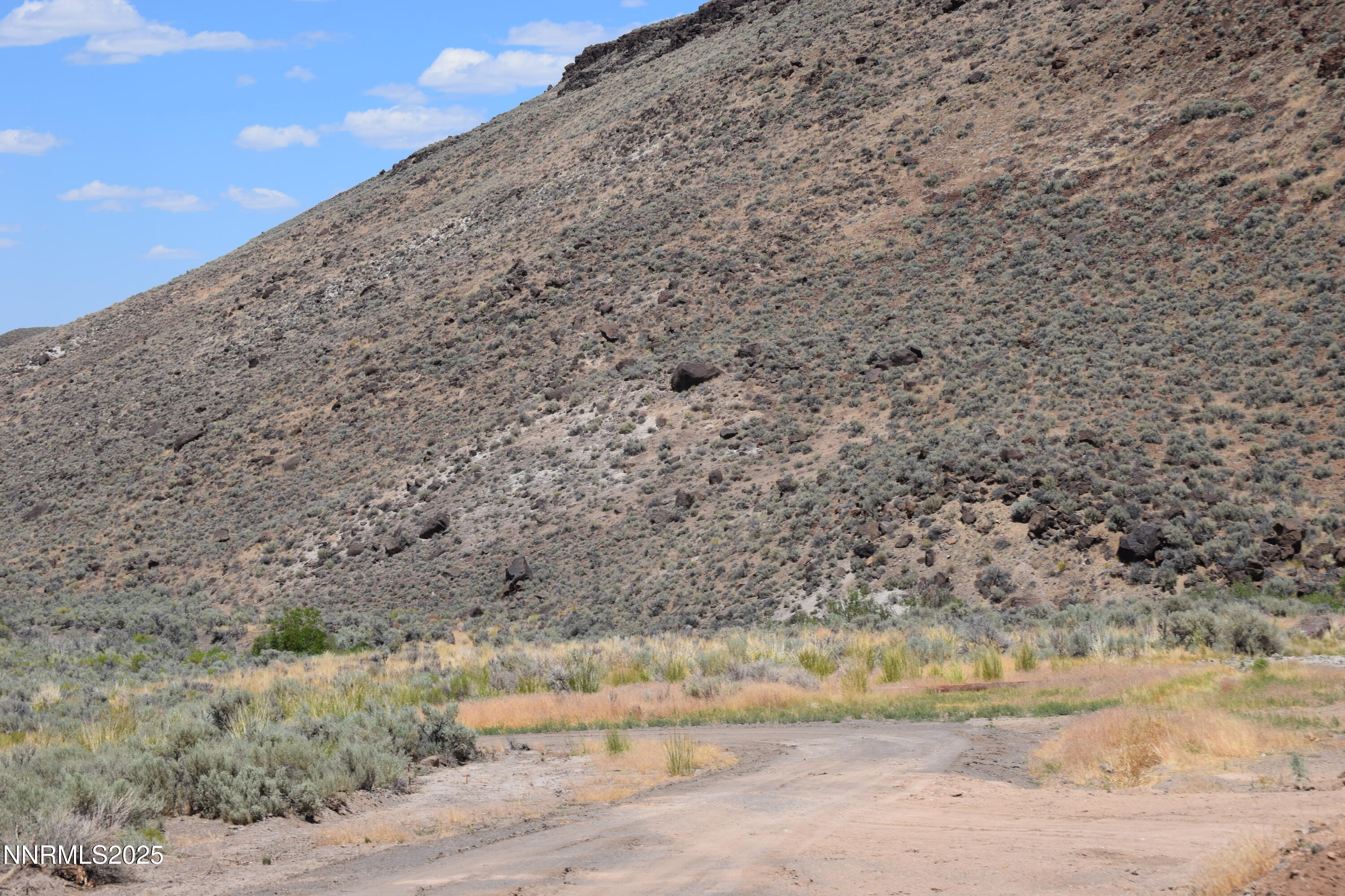 3305 High Rock Road Reno, NV 89510 - Photo 34 of 36 a view of a dry yard with trees