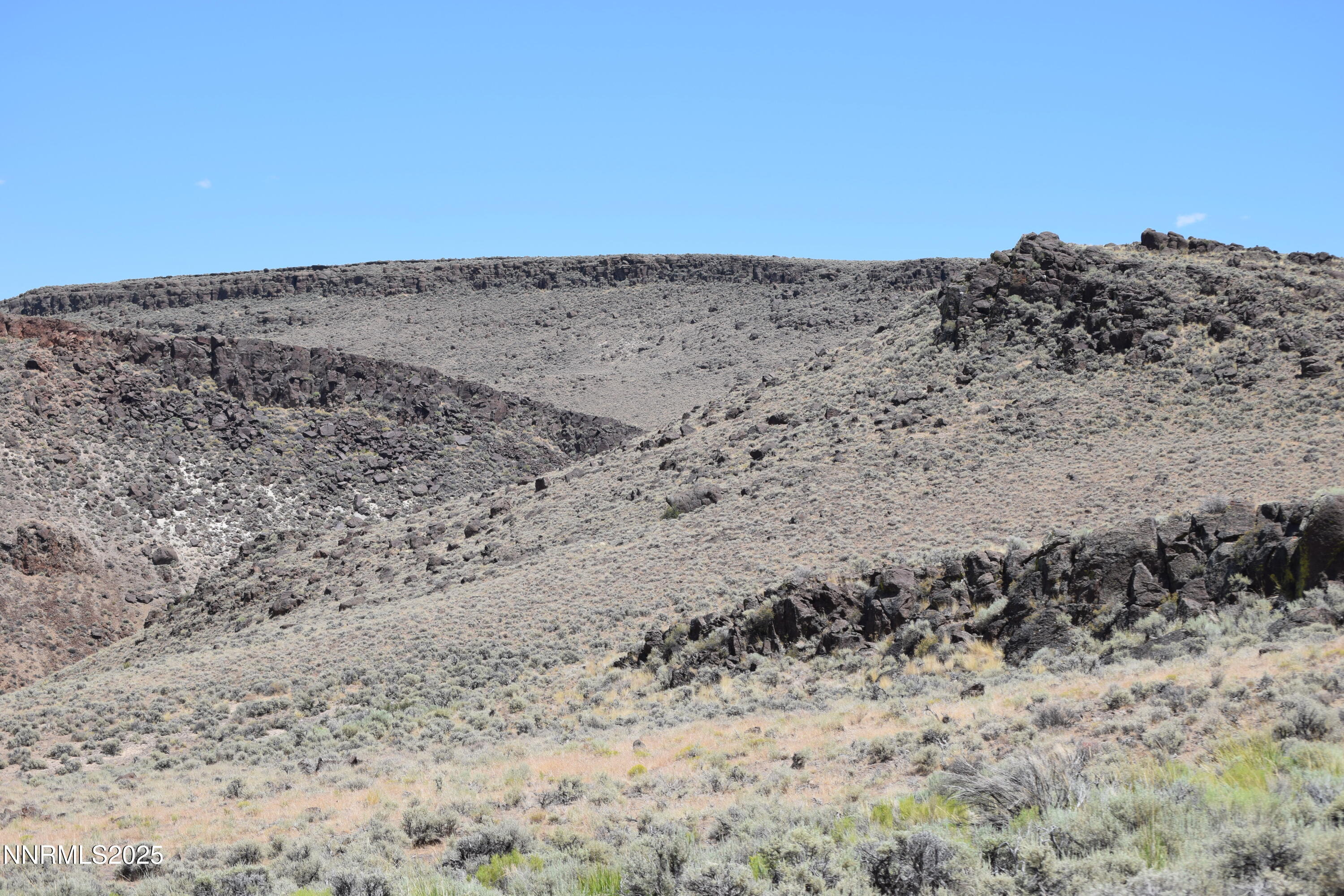 3305 High Rock Road Reno, NV 89510 - Photo 36 of 36 a view of a dry field with trees in the background