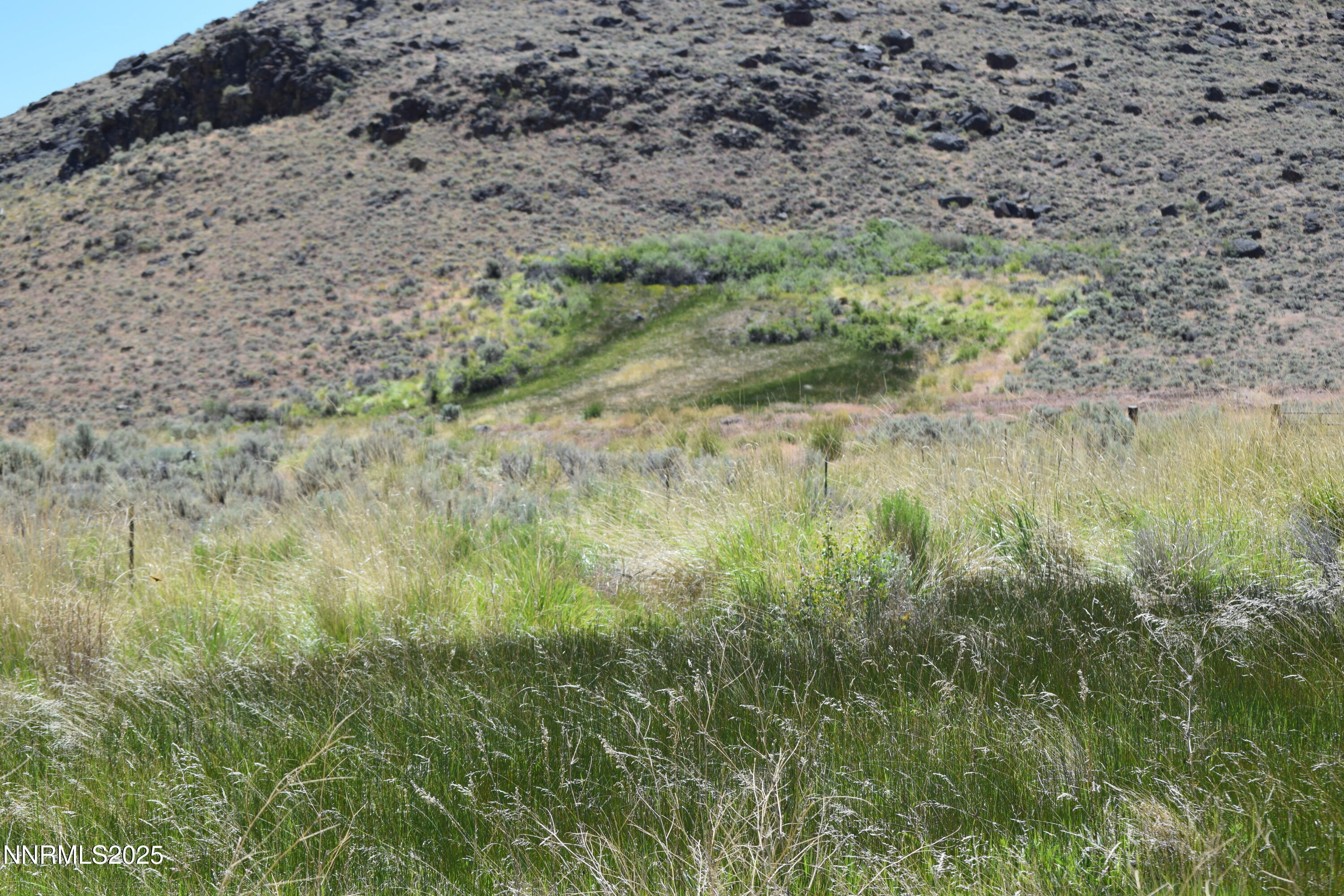 3305 High Rock Road Reno, NV 89510 - Photo 4 of 36 a view of a forest with a yard