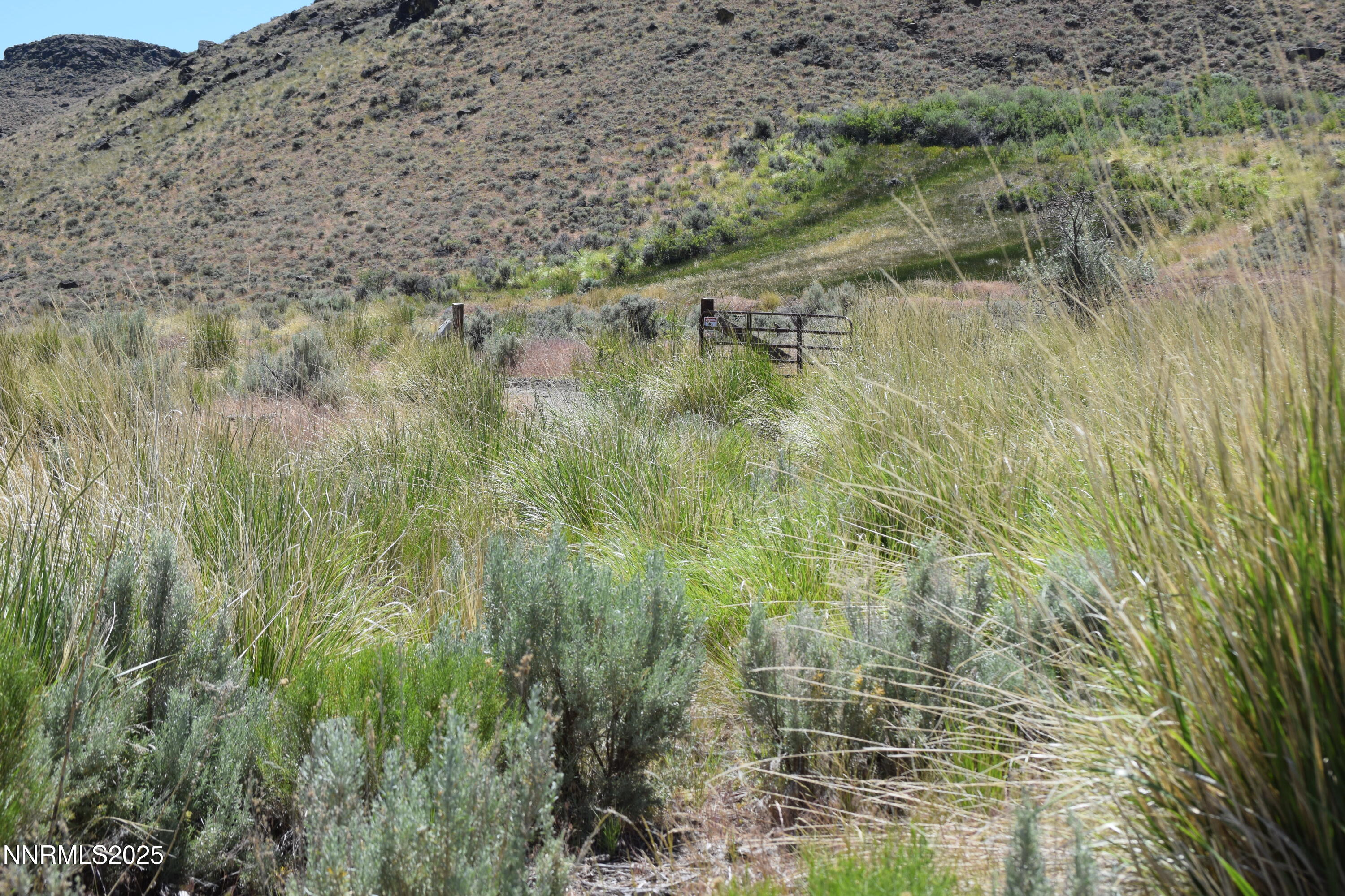 3305 High Rock Road Reno, NV 89510 - Photo 8 of 36