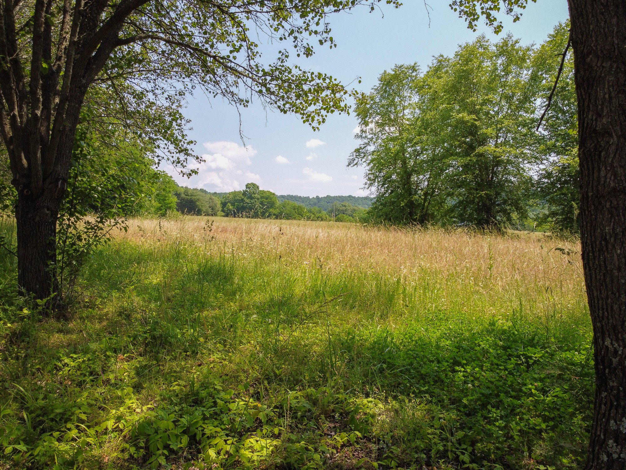 2150 Wilson Hill Road Lewisburg, TN 37091 - Photo 13 of 38 a view of lake with houses in the back