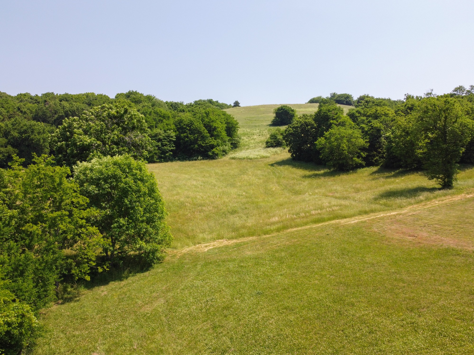 2150 Wilson Hill Road Lewisburg, TN 37091 - Photo 8 of 38 a view of a yard