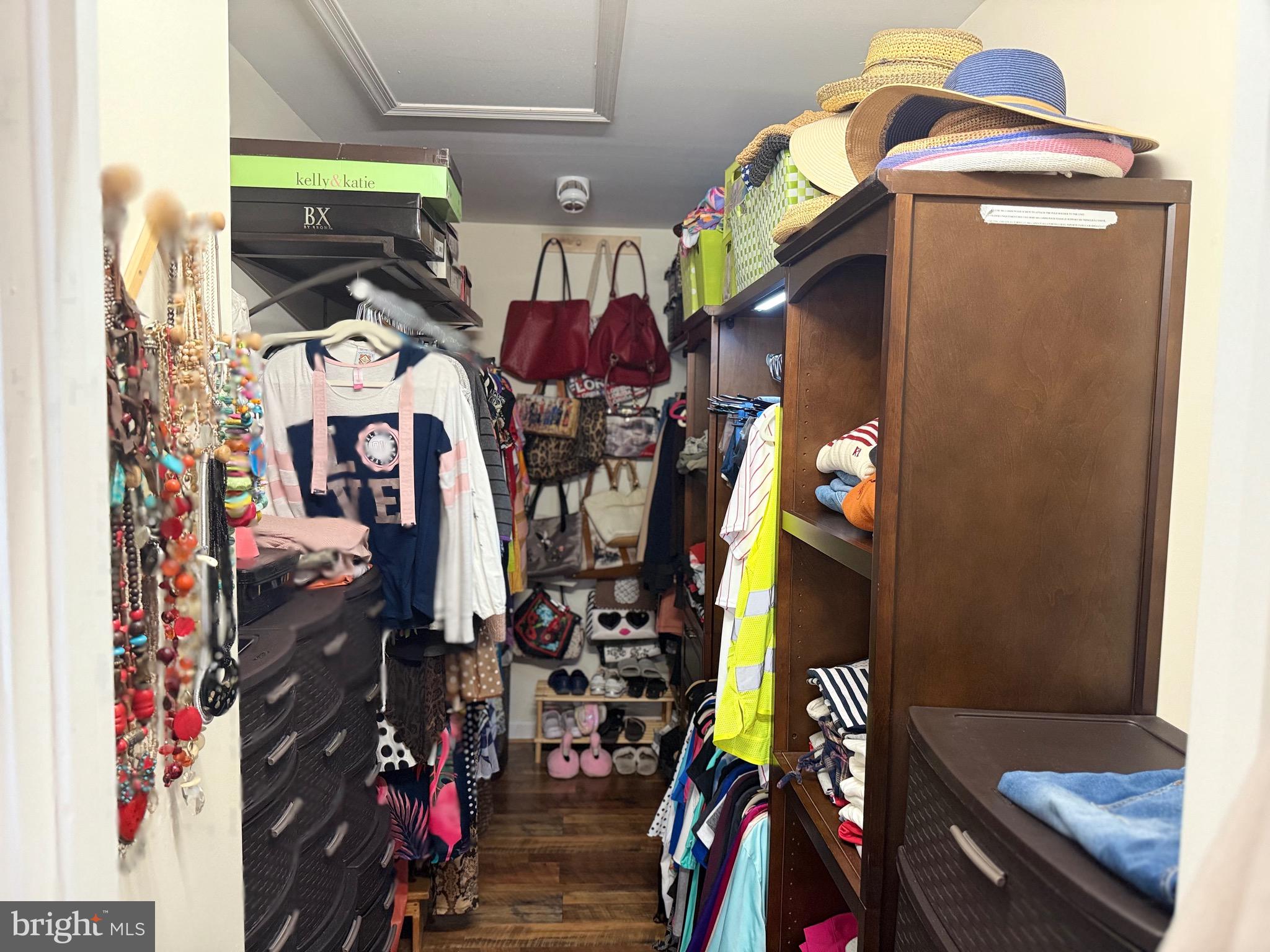 1157 Granny Smith Road Linden, VA 22642 - Photo 17 of 42 Master Closet