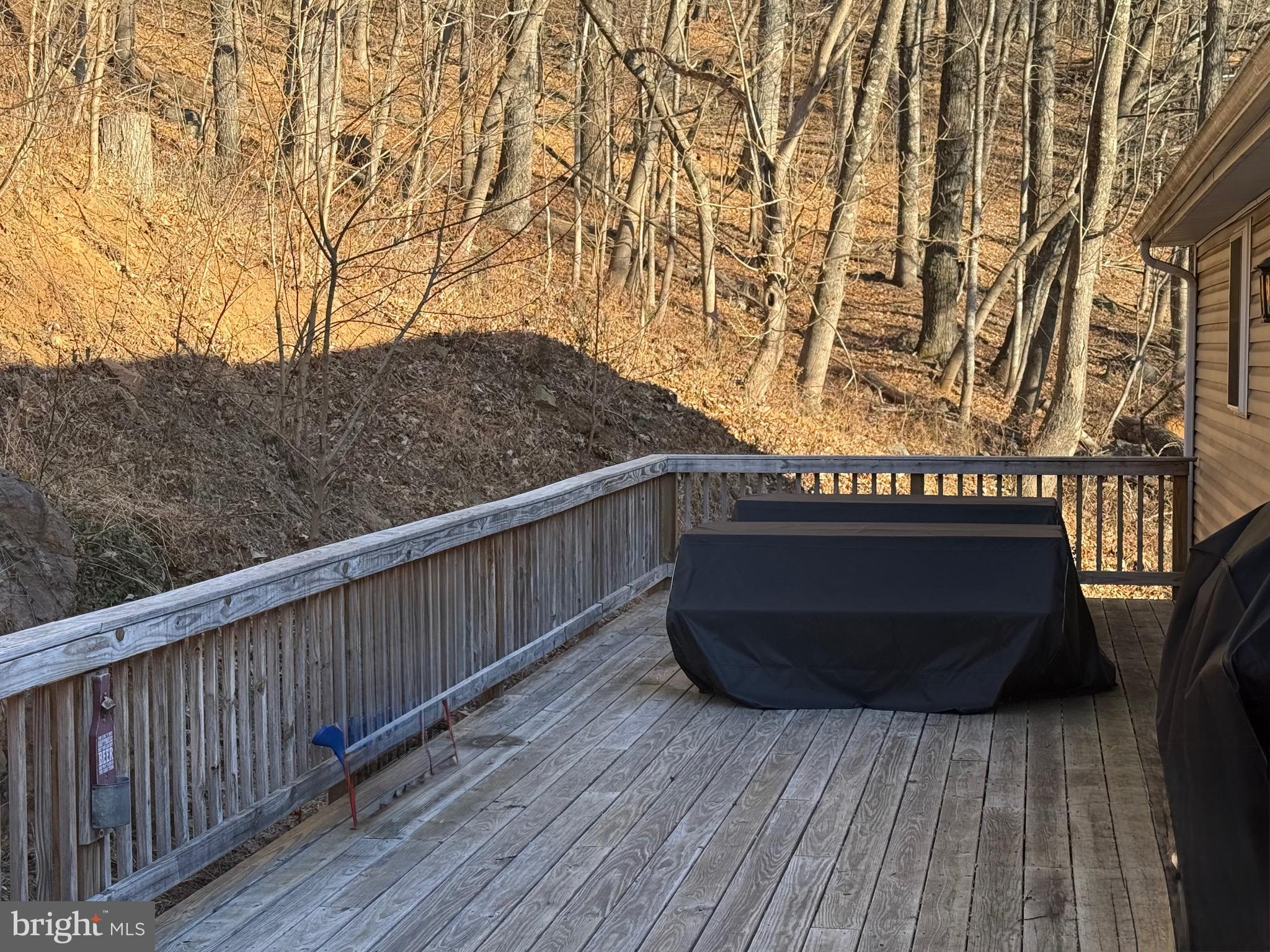 1157 Granny Smith Road Linden, VA 22642 - Photo 37 of 42 Back Deck