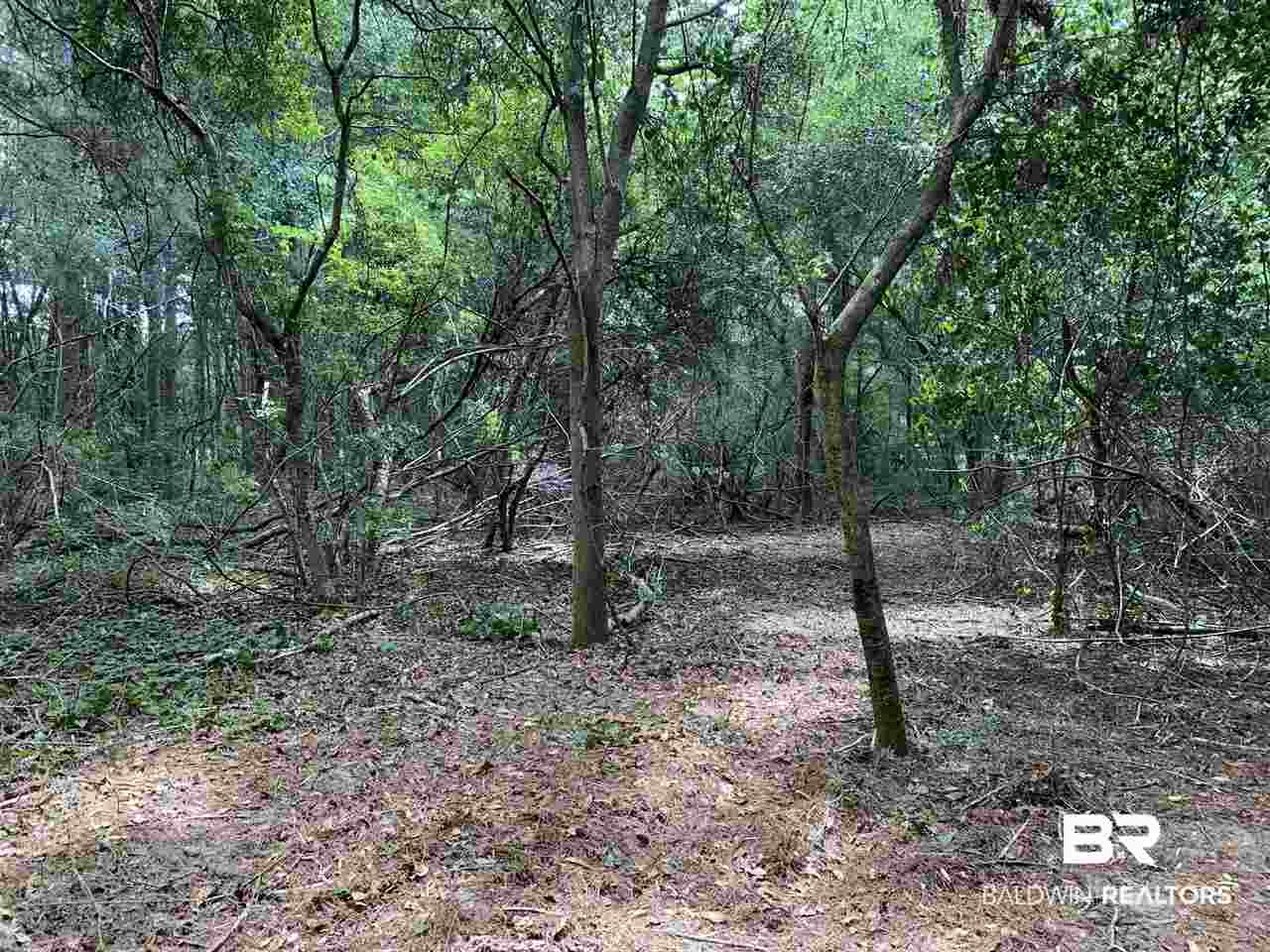 1 Sherwood Highland Road Fairhope, AL 36532 - Photo 3 of 8