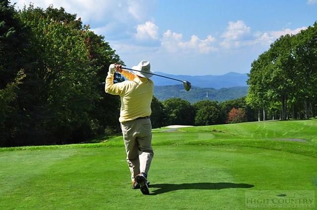 121 Slopeside Road Beech Mountain, NC 28604 - Photo 4 of 16 Gallery Image 4
