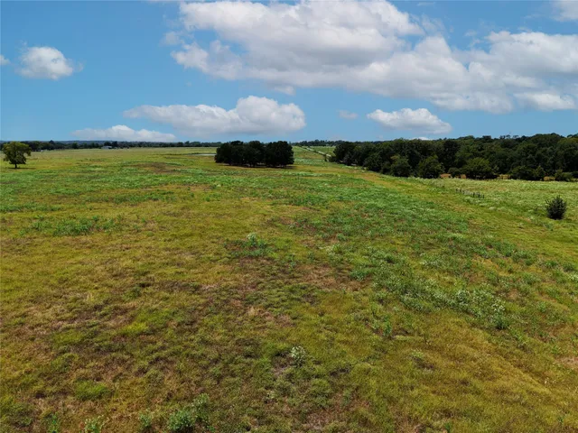 a view of a yard with an trees