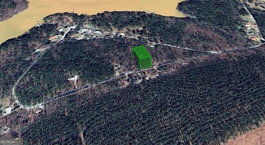 0 Lbk Road, Unit 32C Tignall, GA 30668 - Photo 2 of 6