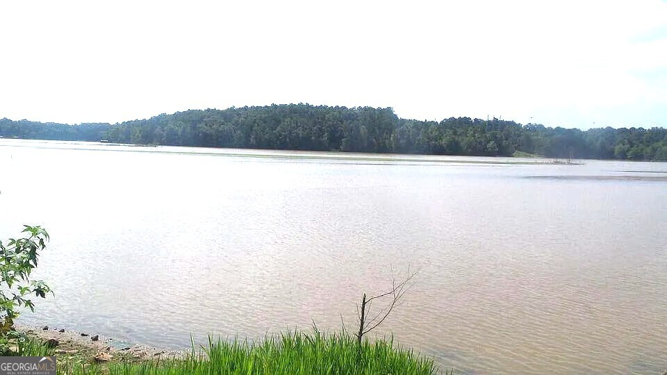 0 Lbk Road, Unit 32C Tignall, GA 30668 - Photo 5 of 6 a view of lake and mountain