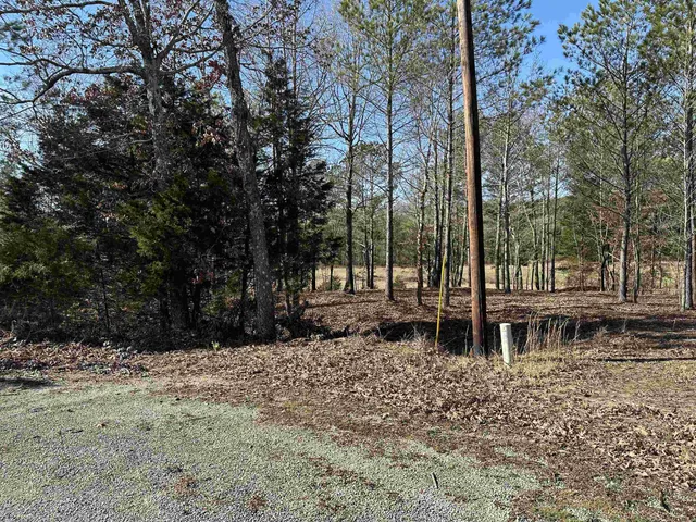 a backyard of a house with a large tree