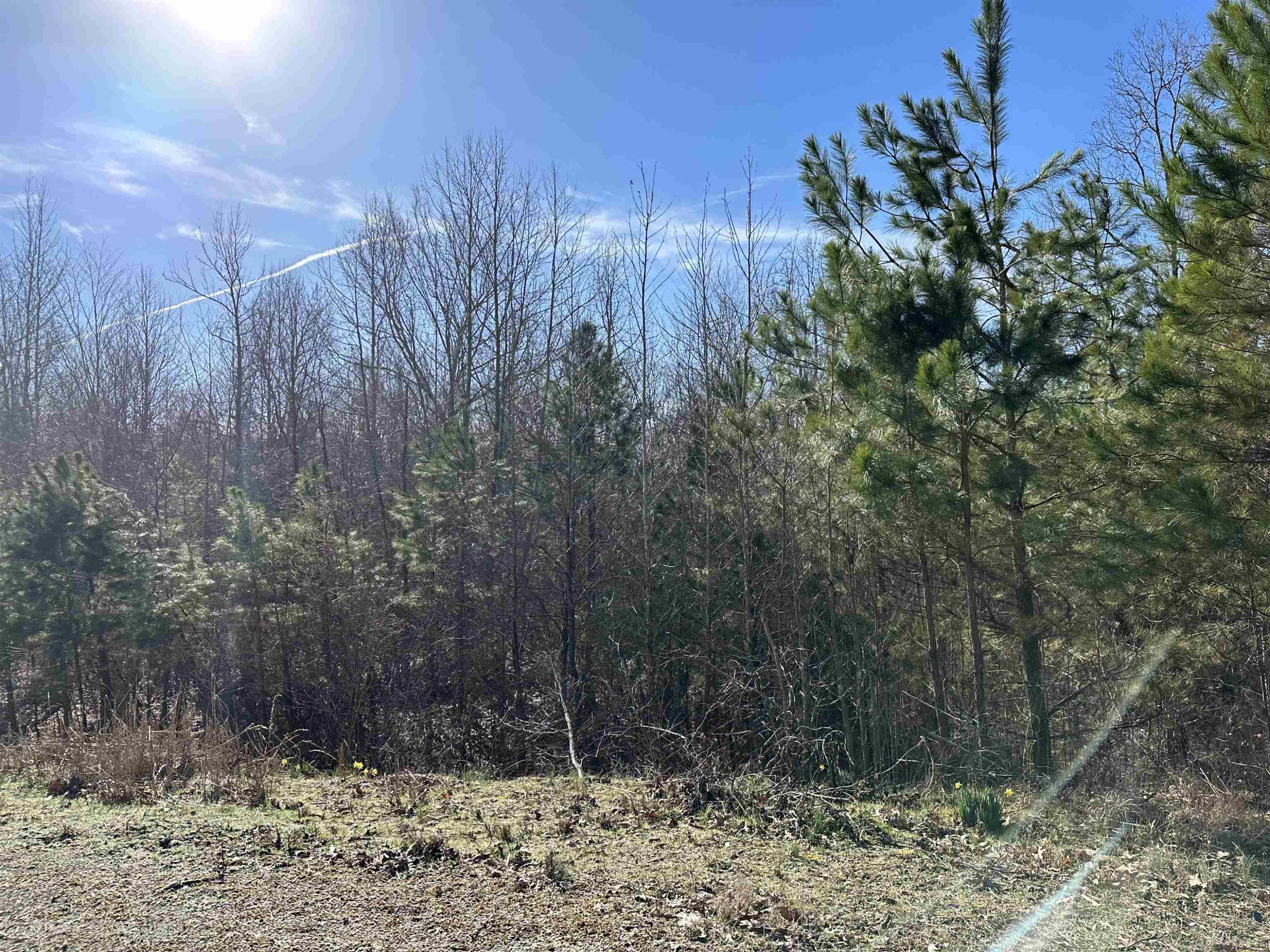 0 Chisum Lane Beech Bluff, TN 38313 - Photo 4 of 5 a view of a yard