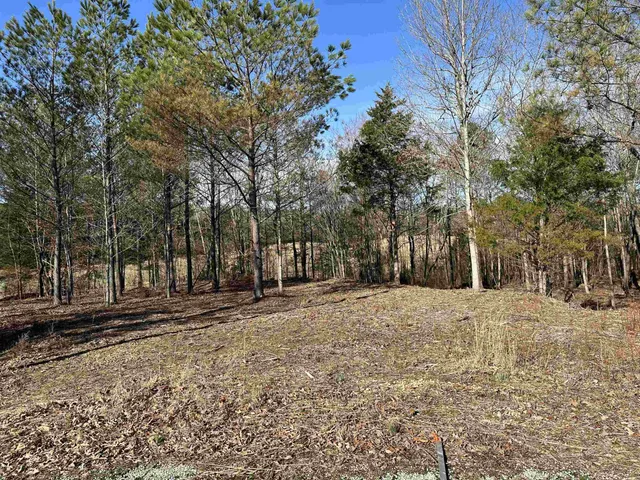 a wooden bench sitting in middle of a yard