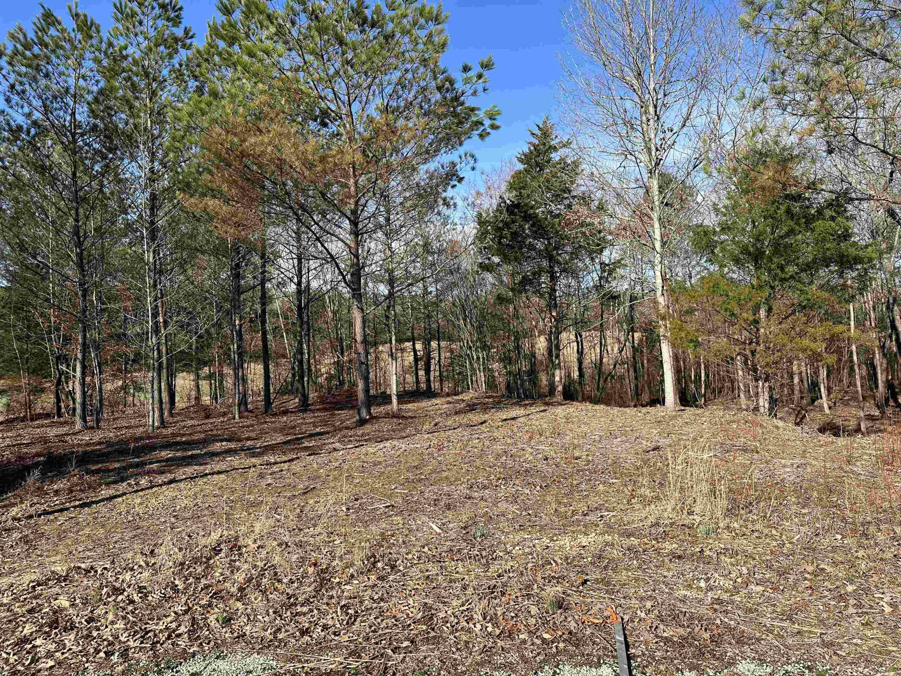 0 Chisum Lane Beech Bluff, TN 38313 - Photo 5 of 5 a wooden bench sitting in middle of a yard