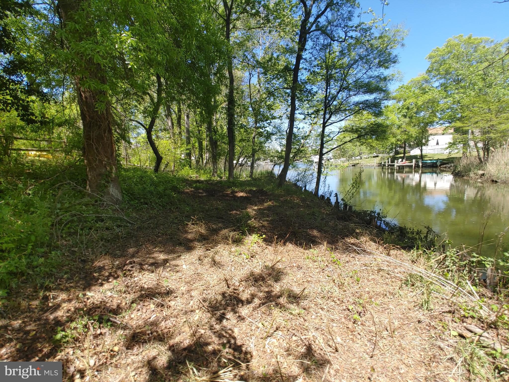 4180 Shoreham Beach Road Edgewater, MD 21037 - Photo 15 of 26 a backyard of a house with lots of green space