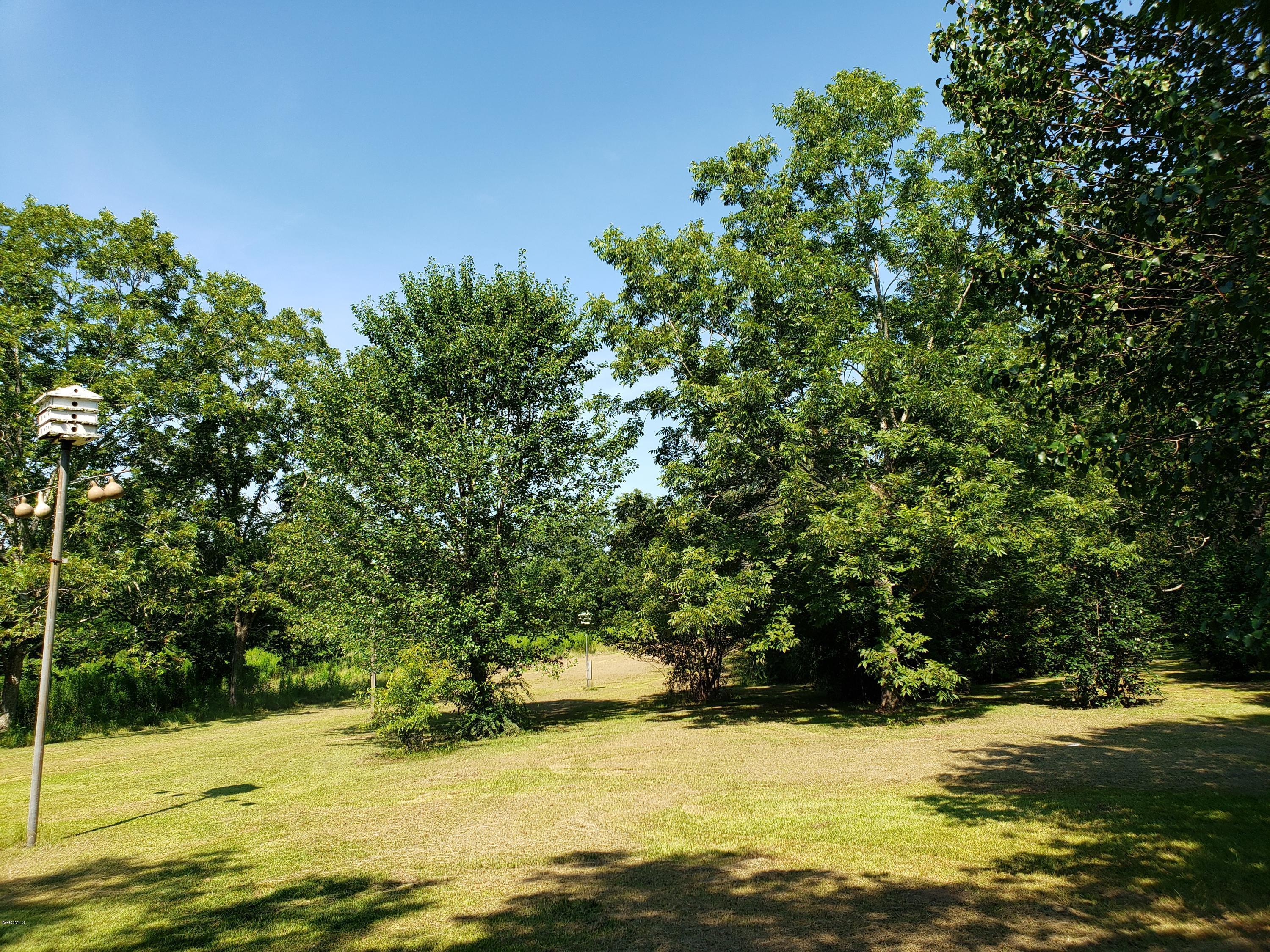 386 Restertown Road Poplarville, MS 39470 - Photo 24 of 39 20190801_102229