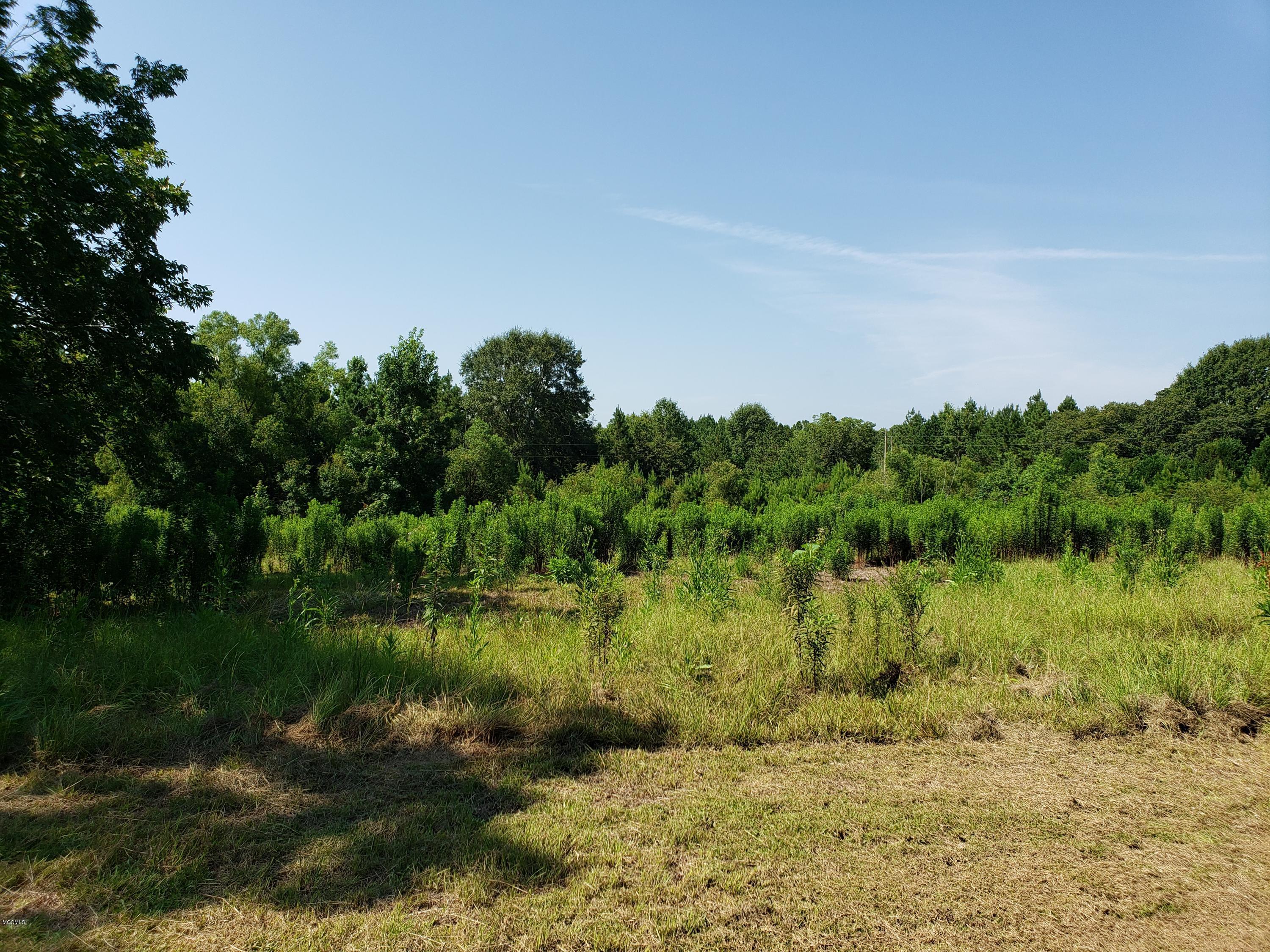 386 Restertown Road Poplarville, MS 39470 - Photo 26 of 39 20190801_102320