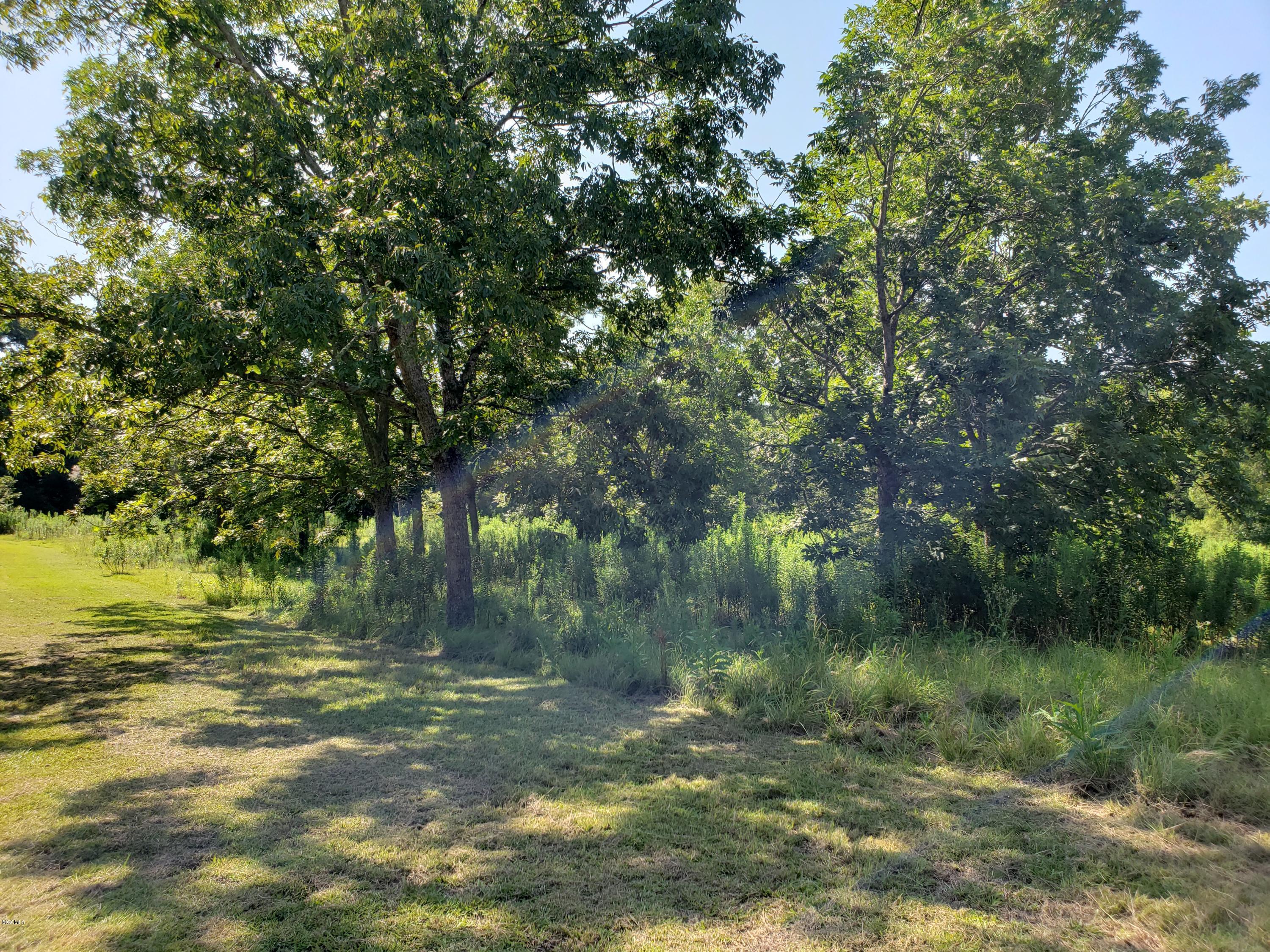 386 Restertown Road Poplarville, MS 39470 - Photo 27 of 39 20190801_102324