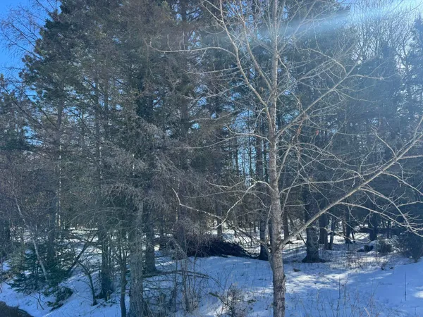 $80,000 | 812 Old Drummond Road, Two Harbors, MN 55616