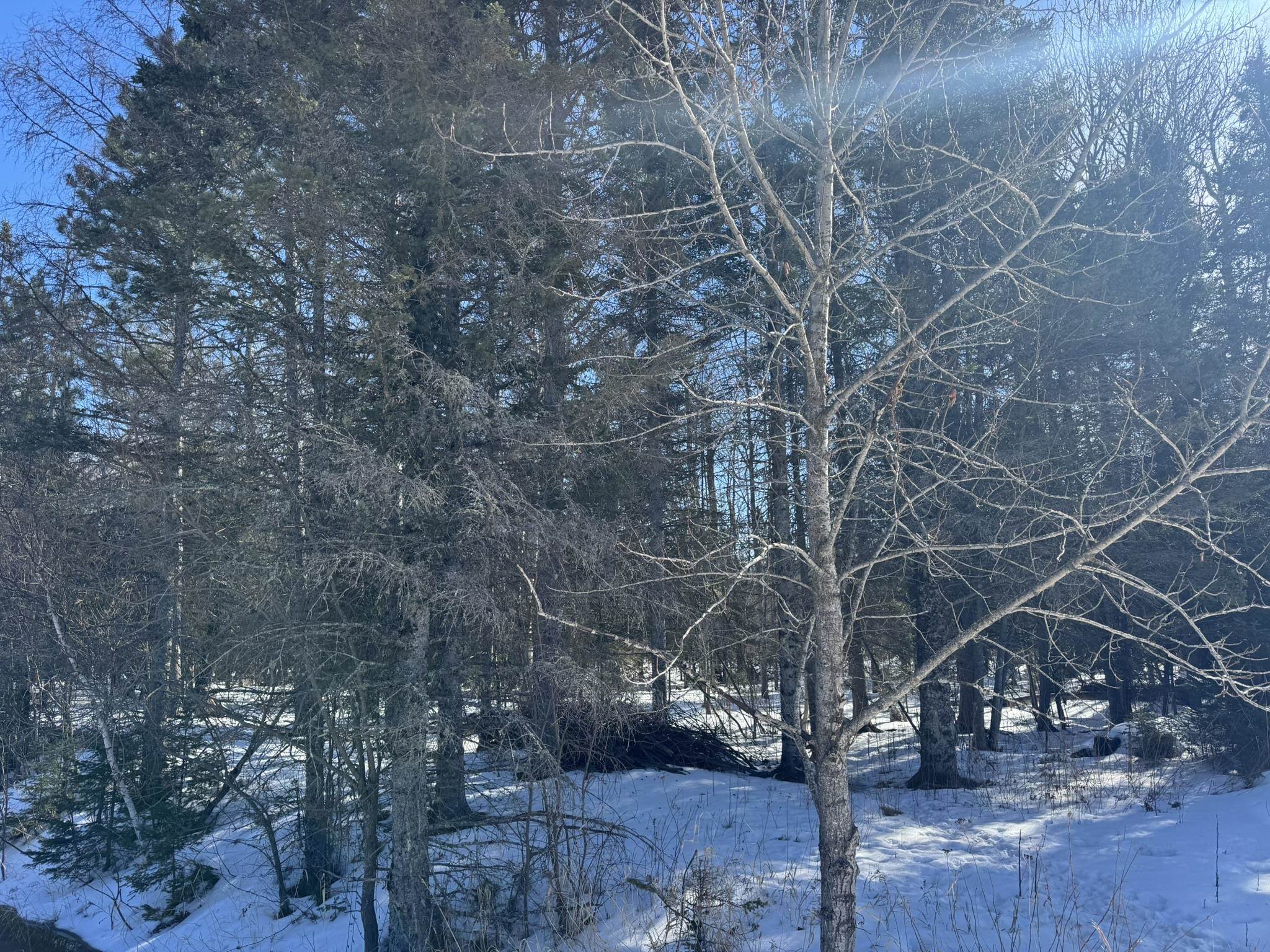 812 Old Drummond Road Two Harbors, MN 55616 - Photo 6 of 20