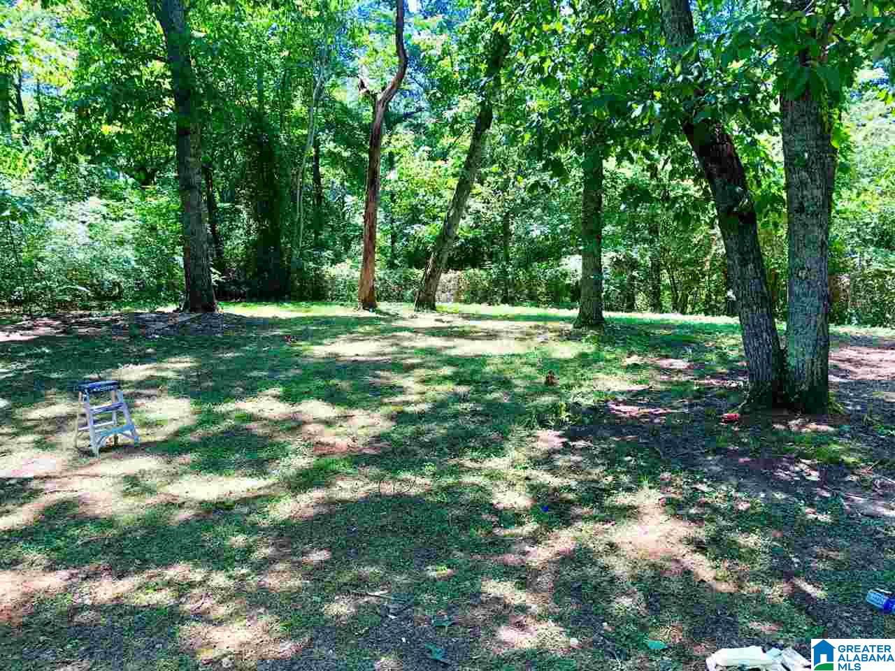 2154 Mountain View Road Birmingham, AL 35210 - Photo 3 of 10