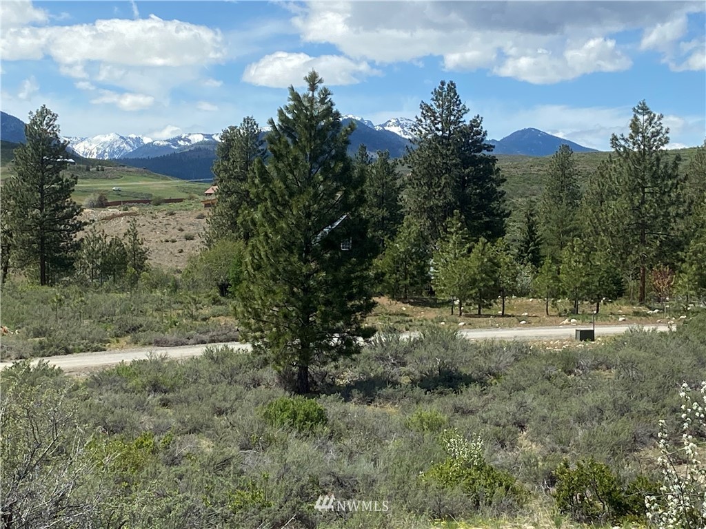 14 River Rock Road Winthrop, WA 98862 - Photo 1 of 27 Gallery Image 1