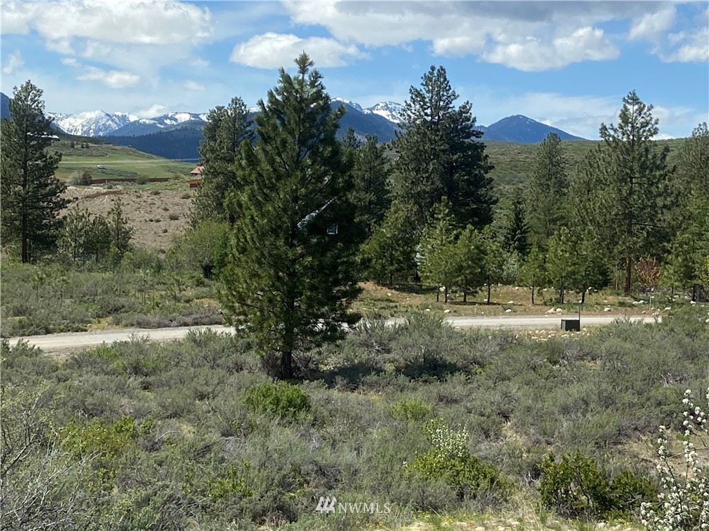 14 River Rock Road Winthrop, WA 98862 - Photo 11 of 27 Gallery Image 11