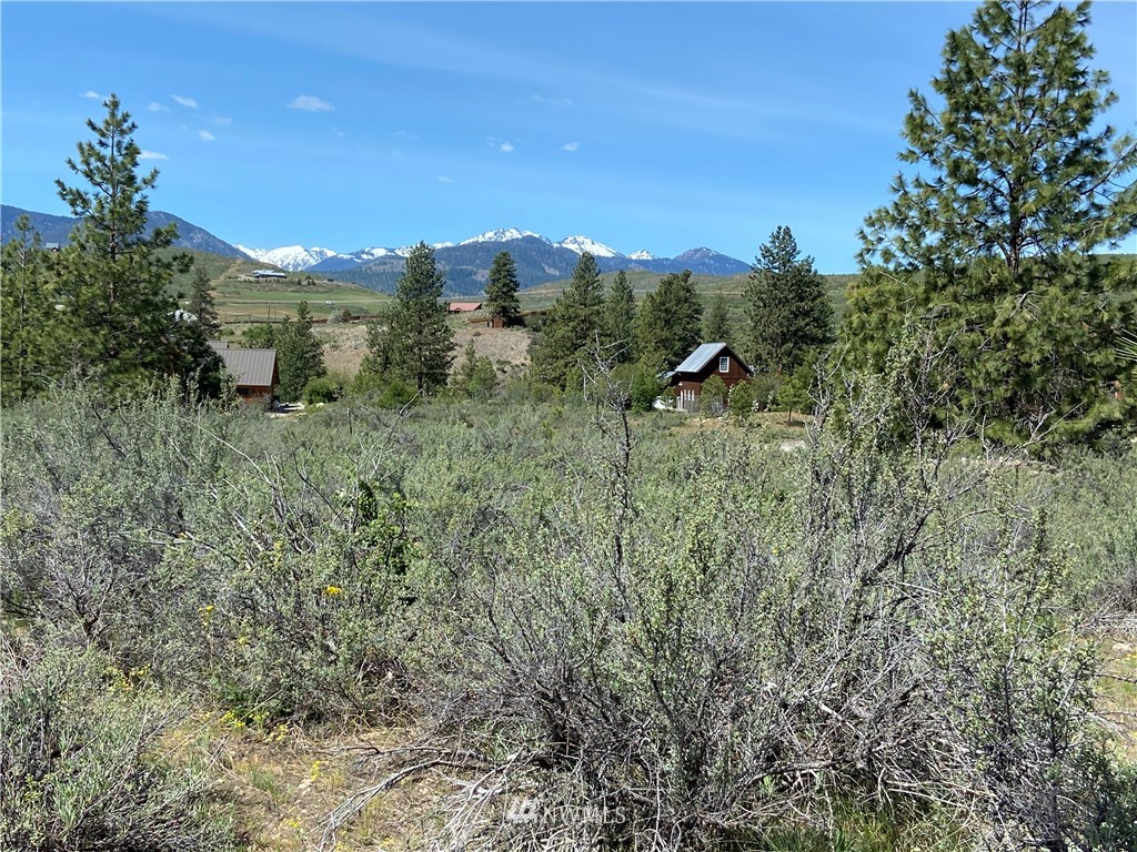 14 River Rock Road Winthrop, WA 98862 - Photo 12 of 27 Gallery Image 12