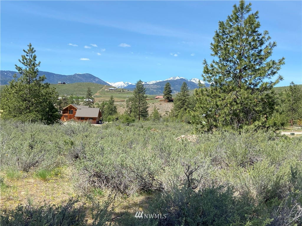 14 River Rock Road Winthrop, WA 98862 - Photo 14 of 27 Gallery Image 14