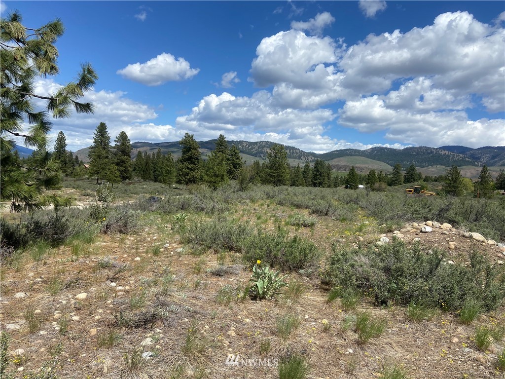 14 River Rock Road Winthrop, WA 98862 - Photo 15 of 27 Gallery Image 15