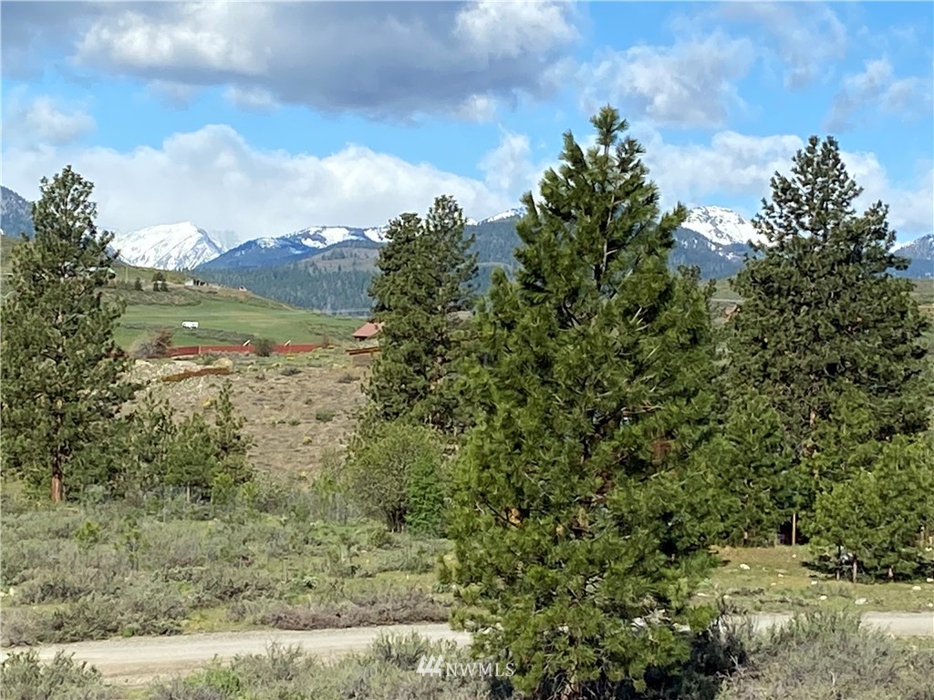 14 River Rock Road Winthrop, WA 98862 - Photo 16 of 27 Gallery Image 16