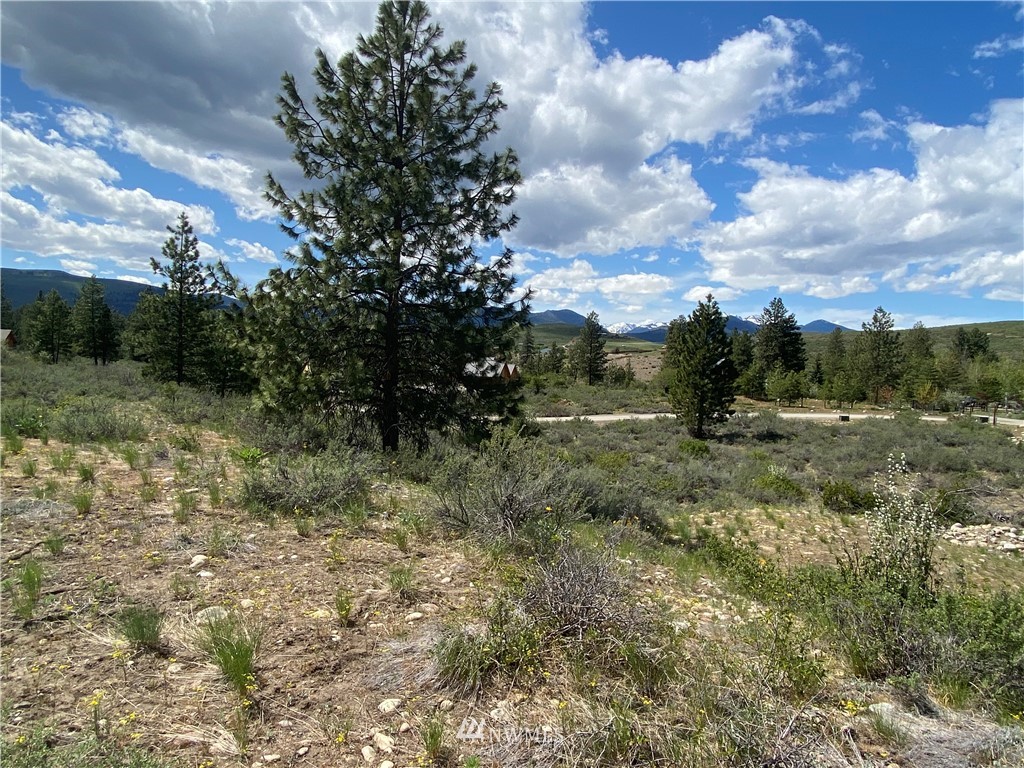 14 River Rock Road Winthrop, WA 98862 - Photo 17 of 27 Gallery Image 17