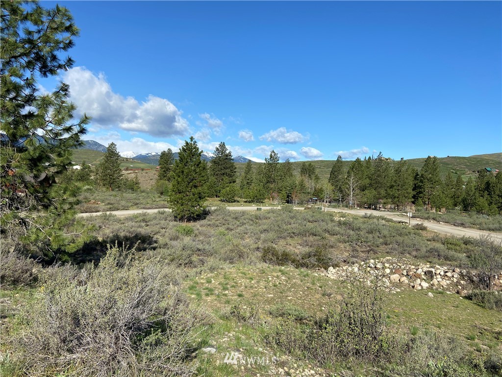 14 River Rock Road Winthrop, WA 98862 - Photo 20 of 27 Gallery Image 20