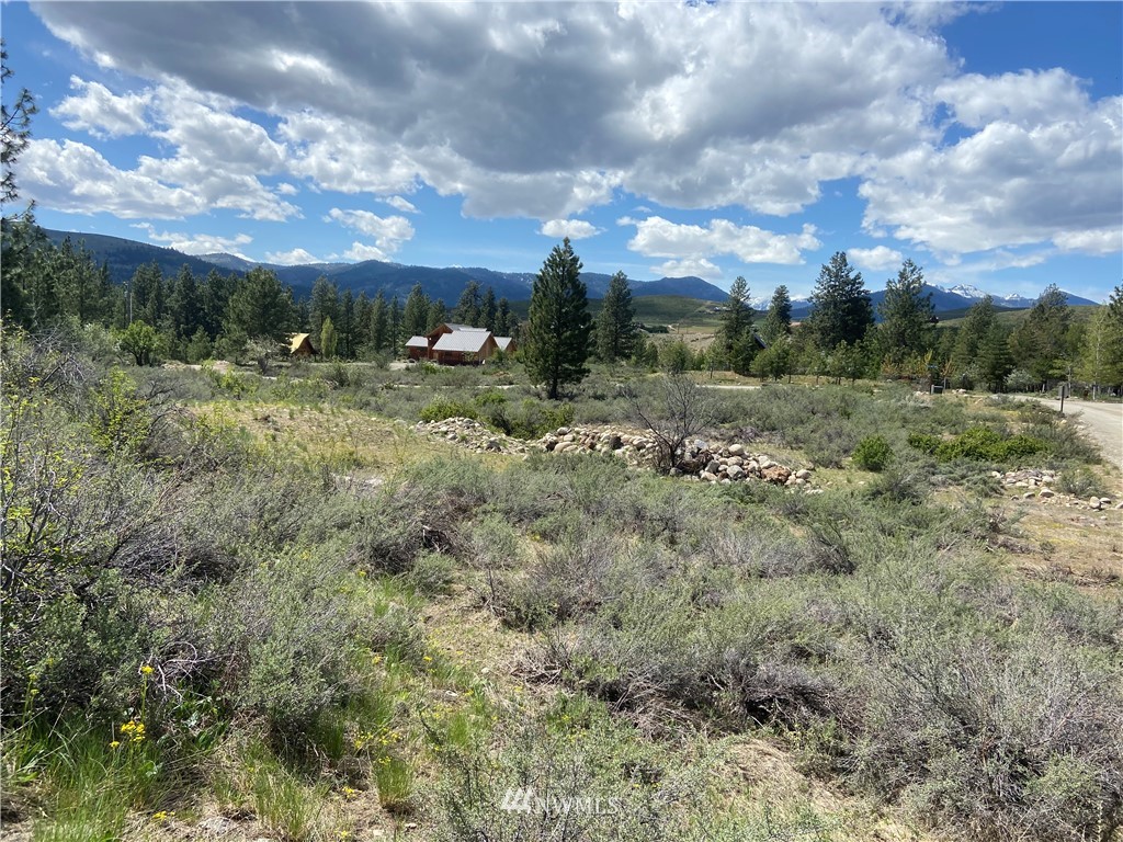 14 River Rock Road Winthrop, WA 98862 - Photo 21 of 27 Gallery Image 21